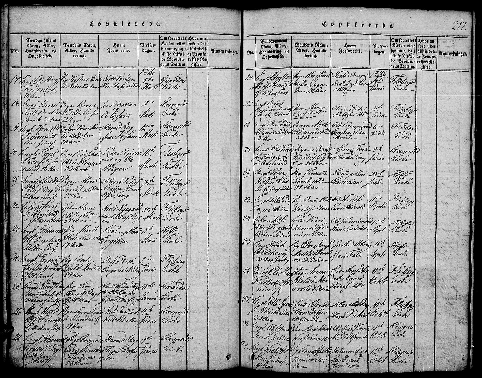 Land prestekontor, AV/SAH-PREST-120/H/Ha/Hab/L0001: Parish register (copy) no. 1, 1814-1833, p. 217