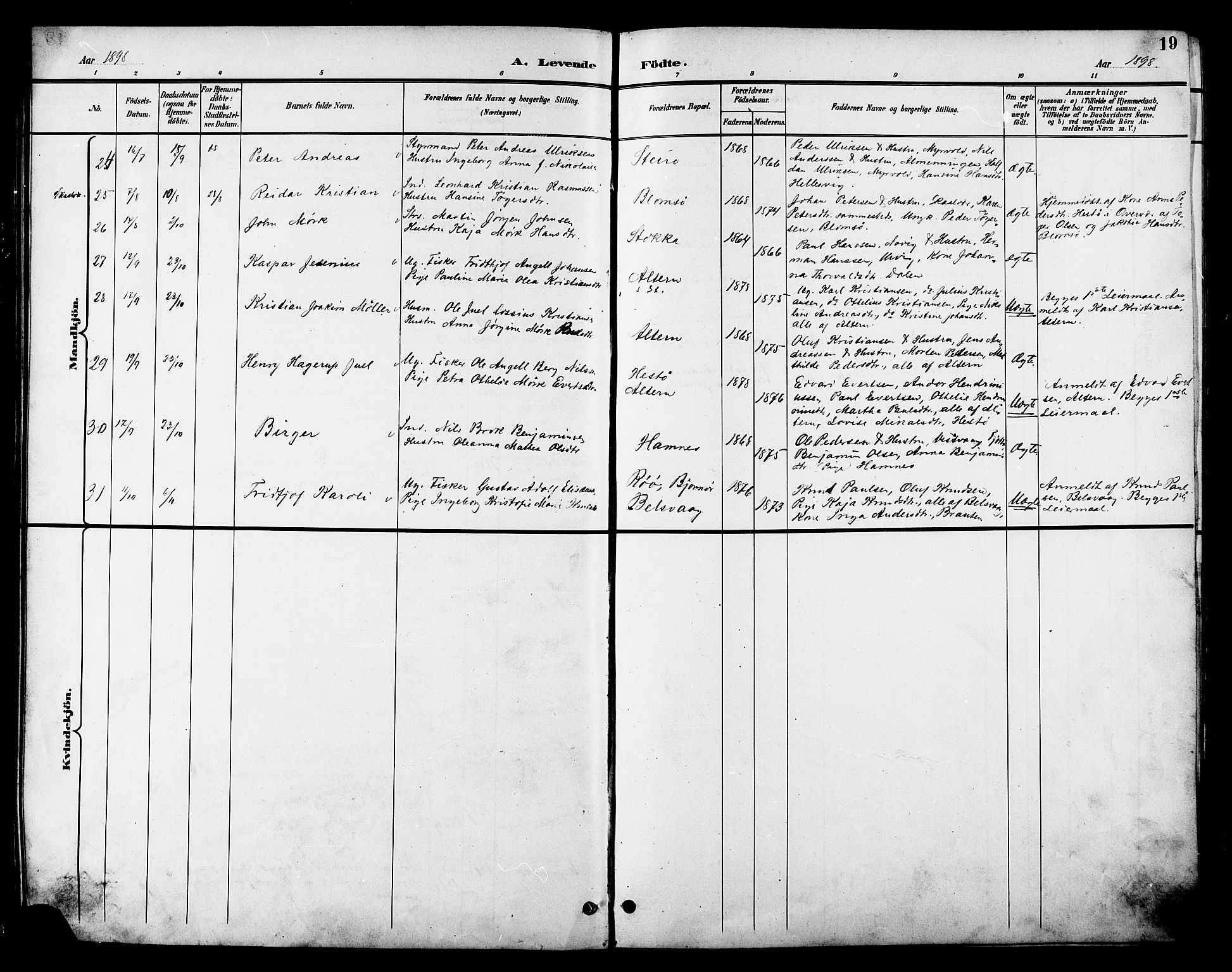 Ministerialprotokoller, klokkerbøker og fødselsregistre - Nordland, AV/SAT-A-1459/830/L0463: Parish register (copy) no. 830C05, 1895-1906, p. 19