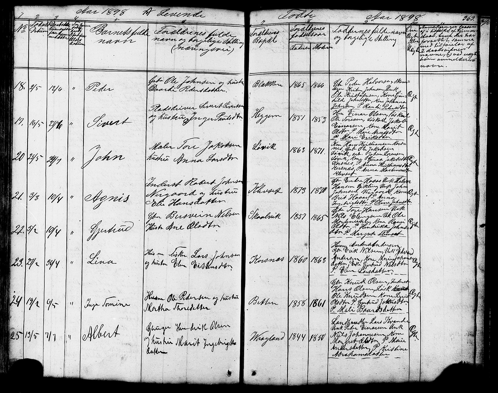 Ministerialprotokoller, klokkerbøker og fødselsregistre - Møre og Romsdal, AV/SAT-A-1454/576/L0890: Parish register (copy) no. 576C01, 1837-1908, p. 363