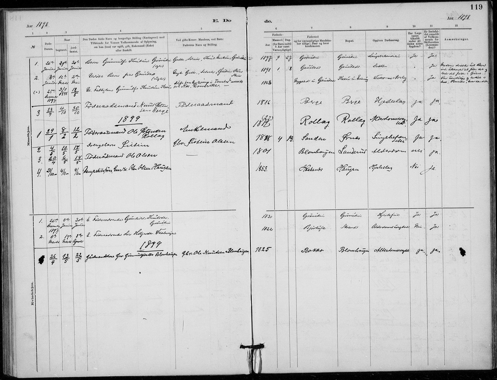 Tinn kirkebøker, AV/SAKO-A-308/F/Fb/L0002: Parish register (official) no. II 2, 1878-1917, p. 119