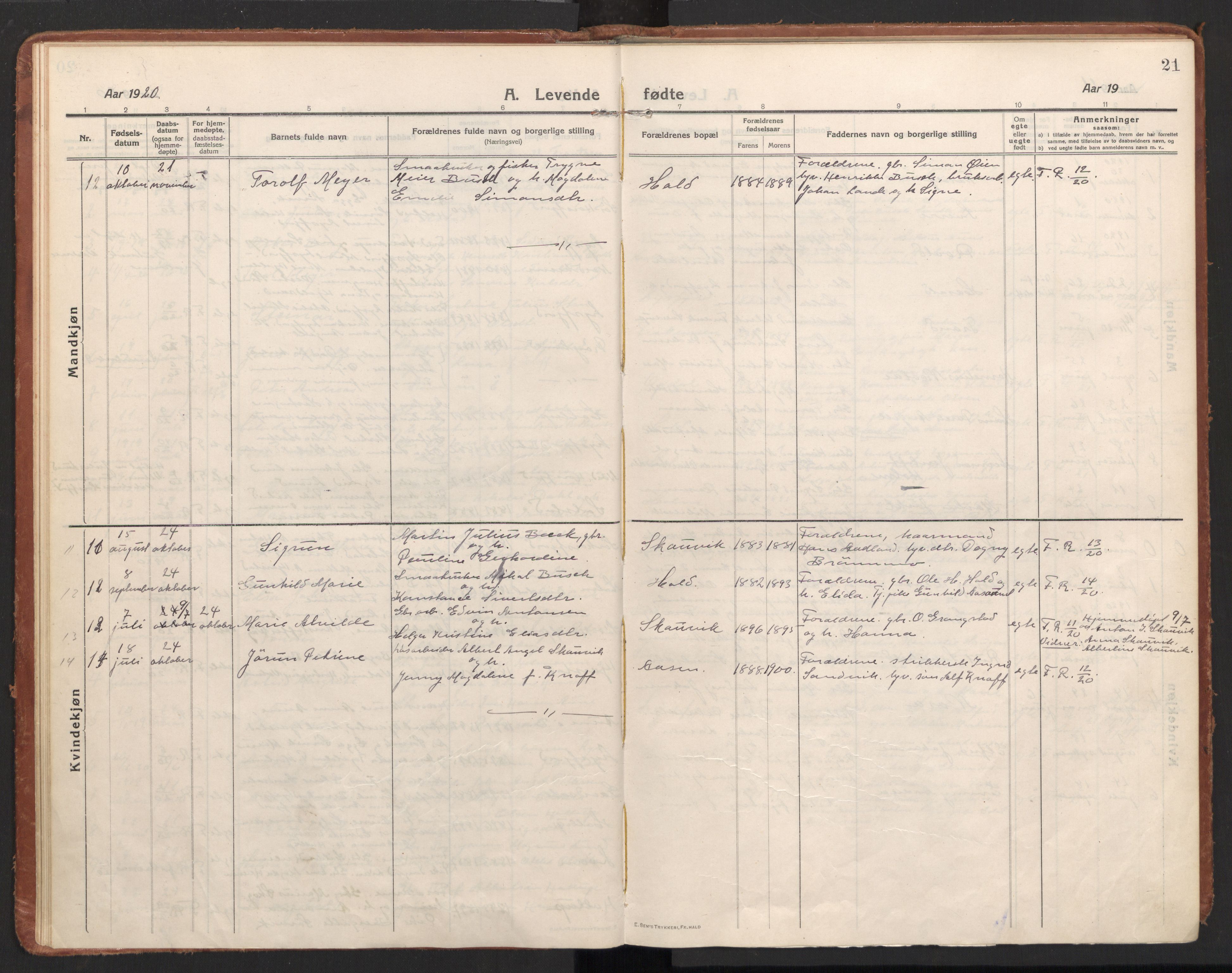 Ministerialprotokoller, klokkerbøker og fødselsregistre - Nordland, AV/SAT-A-1459/811/L0168: Parish register (official) no. 811A05, 1914-1932, p. 21