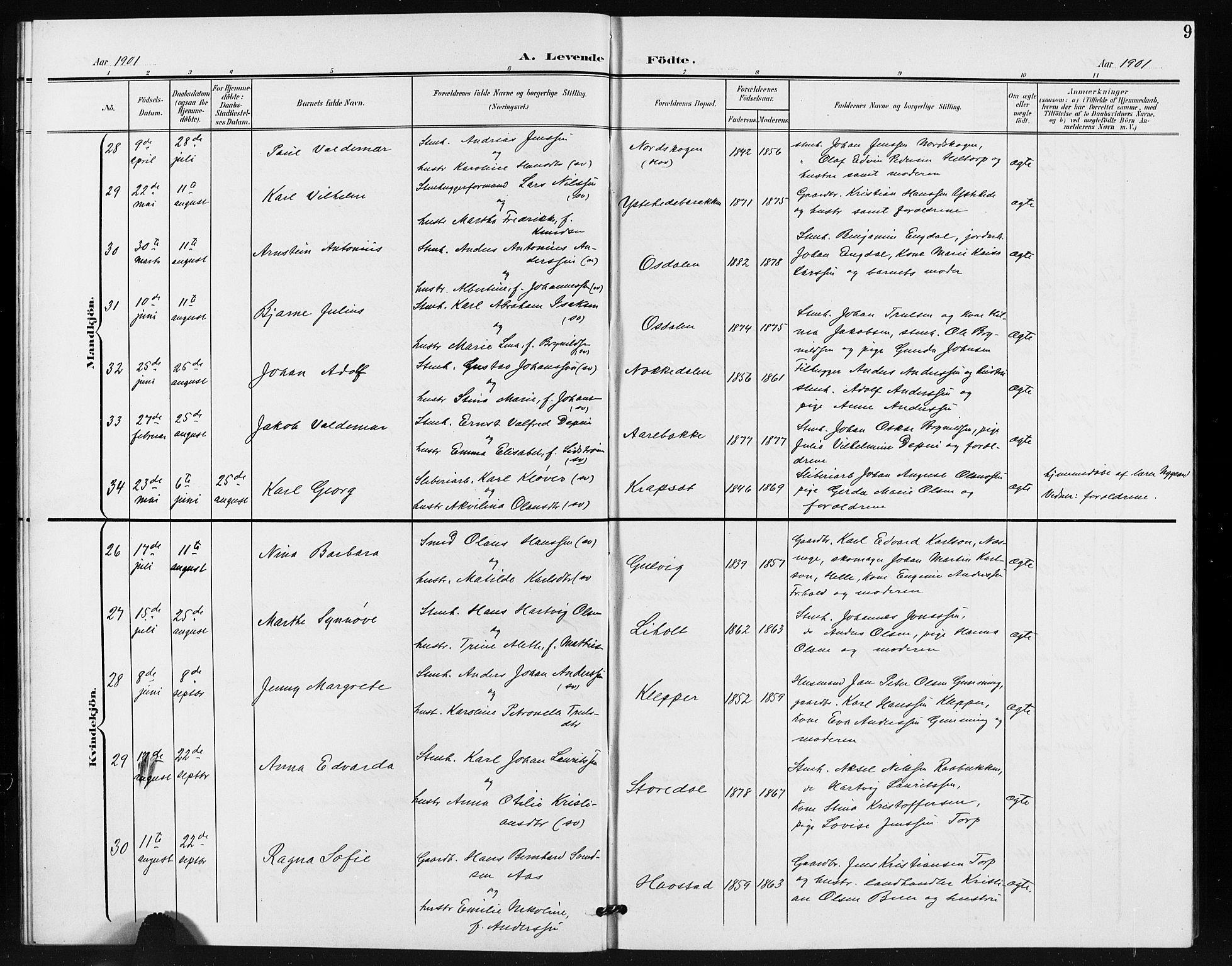 Idd prestekontor Kirkebøker, SAO/A-10911/G/Gb/L0001: Parish register (copy) no. II 1, 1901-1907, p. 9