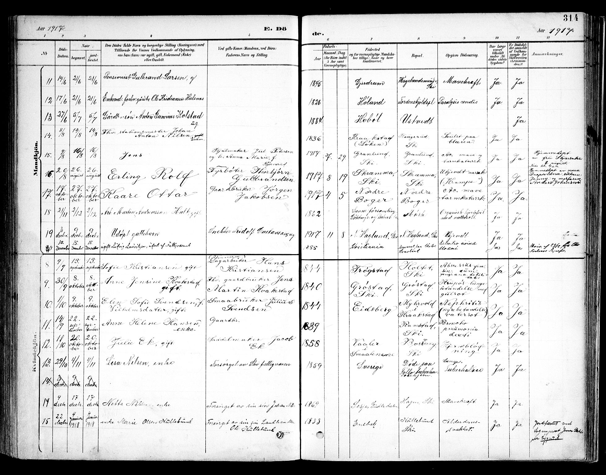 Kråkstad prestekontor Kirkebøker, AV/SAO-A-10125a/F/Fb/L0002: Parish register (official) no. II 2, 1893-1917, p. 314