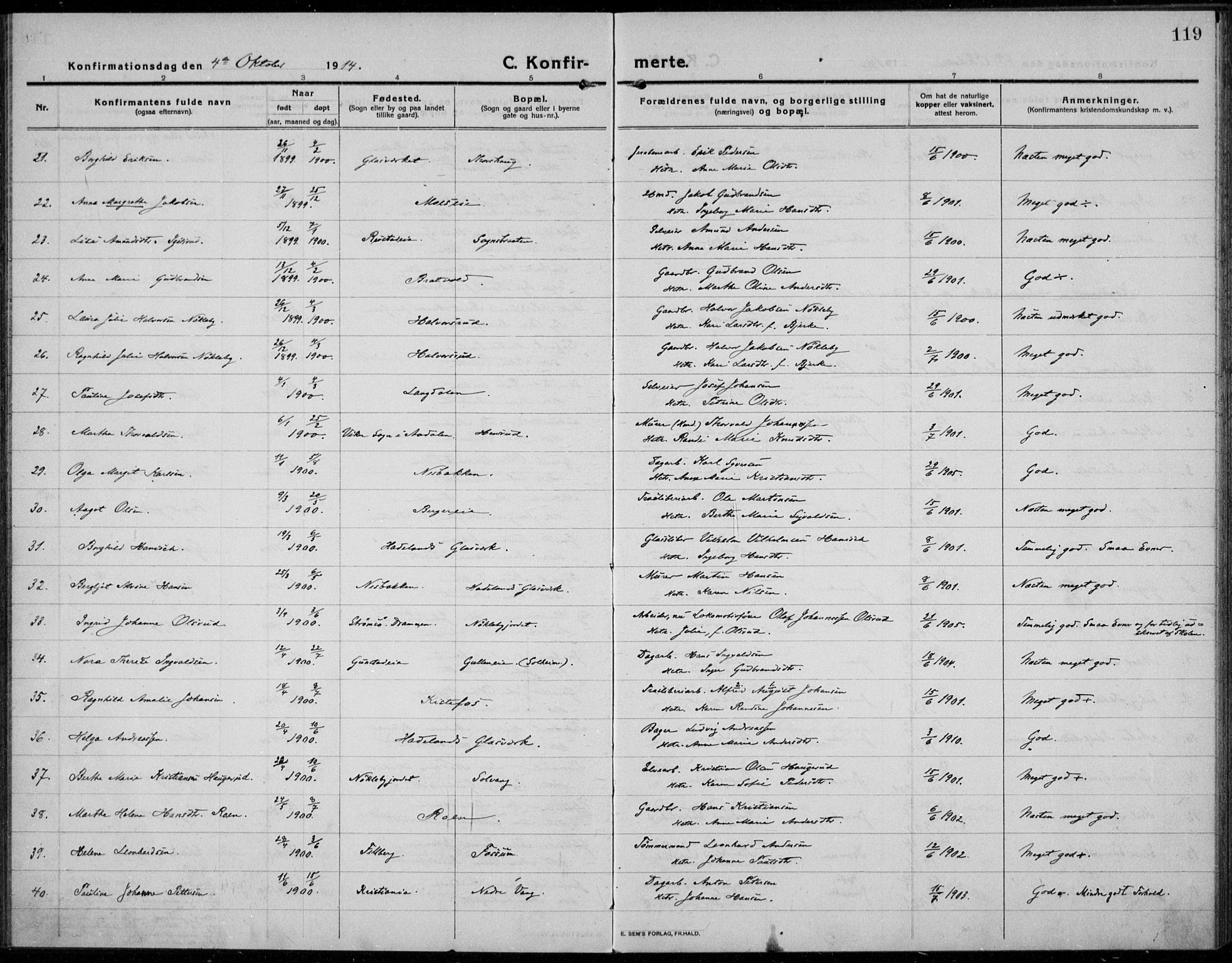 Jevnaker prestekontor, AV/SAH-PREST-116/H/Ha/Haa/L0012: Parish register (official) no. 12, 1914-1924, p. 119