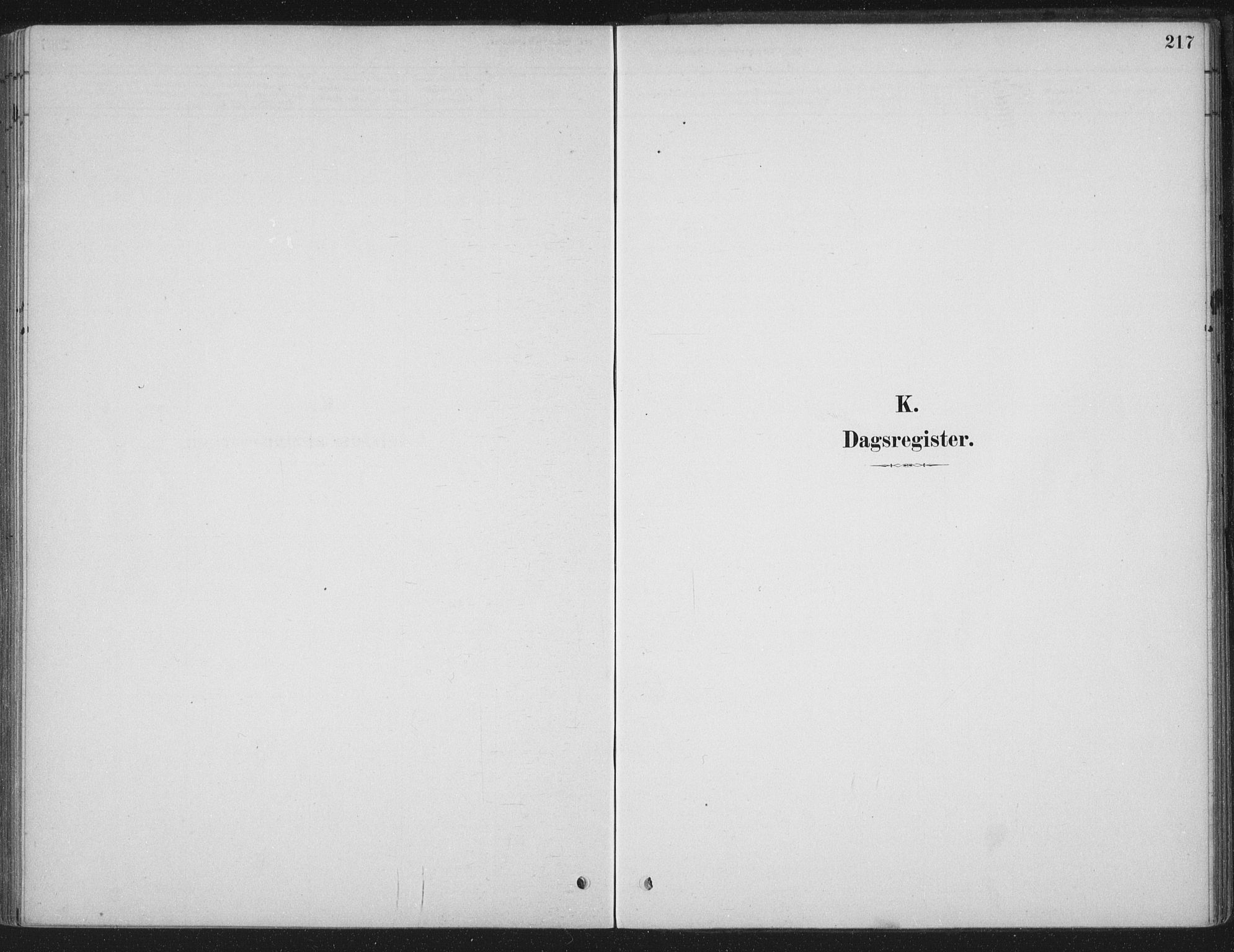 Ministerialprotokoller, klokkerbøker og fødselsregistre - Sør-Trøndelag, AV/SAT-A-1456/662/L0755: Parish register (official) no. 662A01, 1879-1905, p. 217