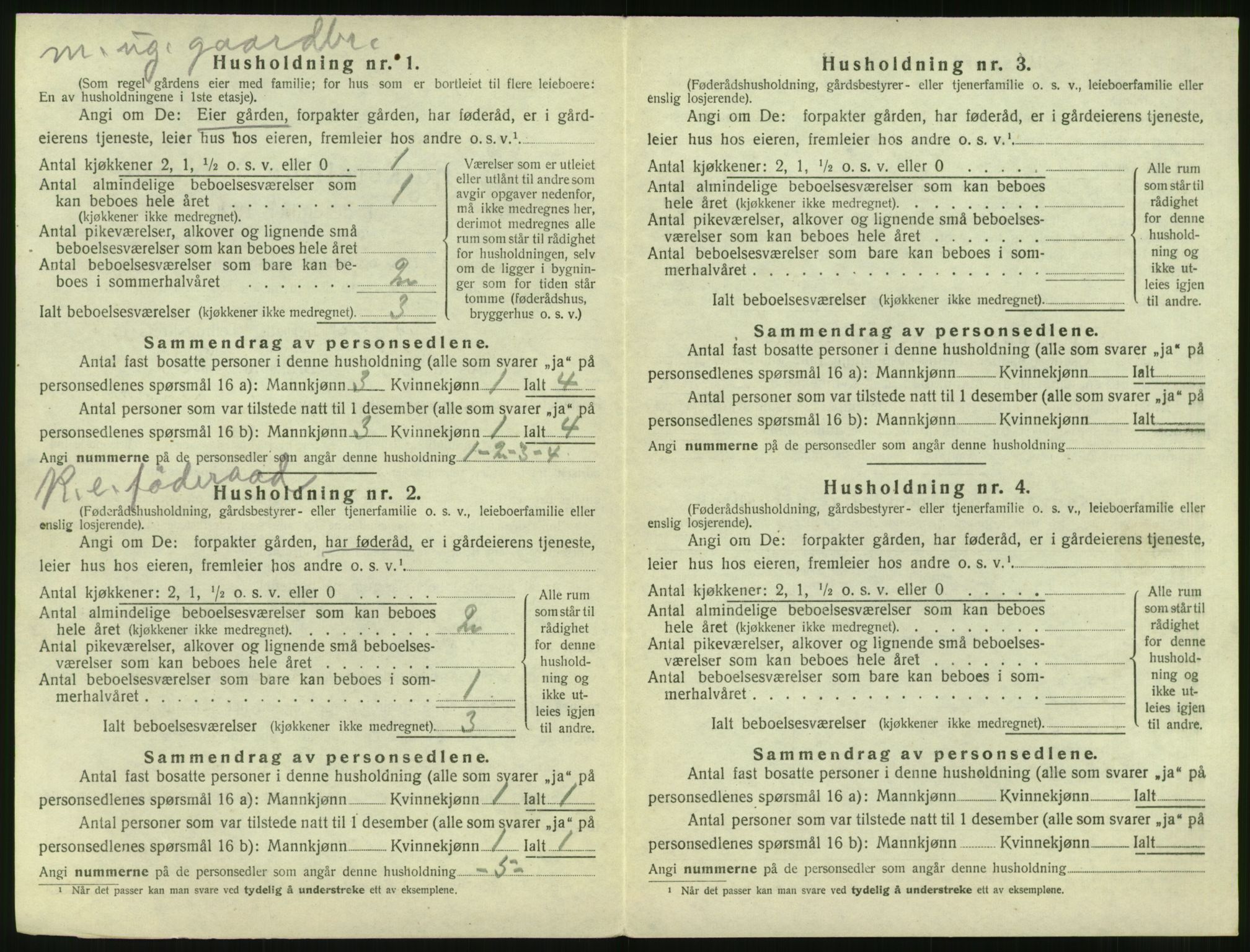 SAT, 1920 census for Vatne, 1920, p. 247