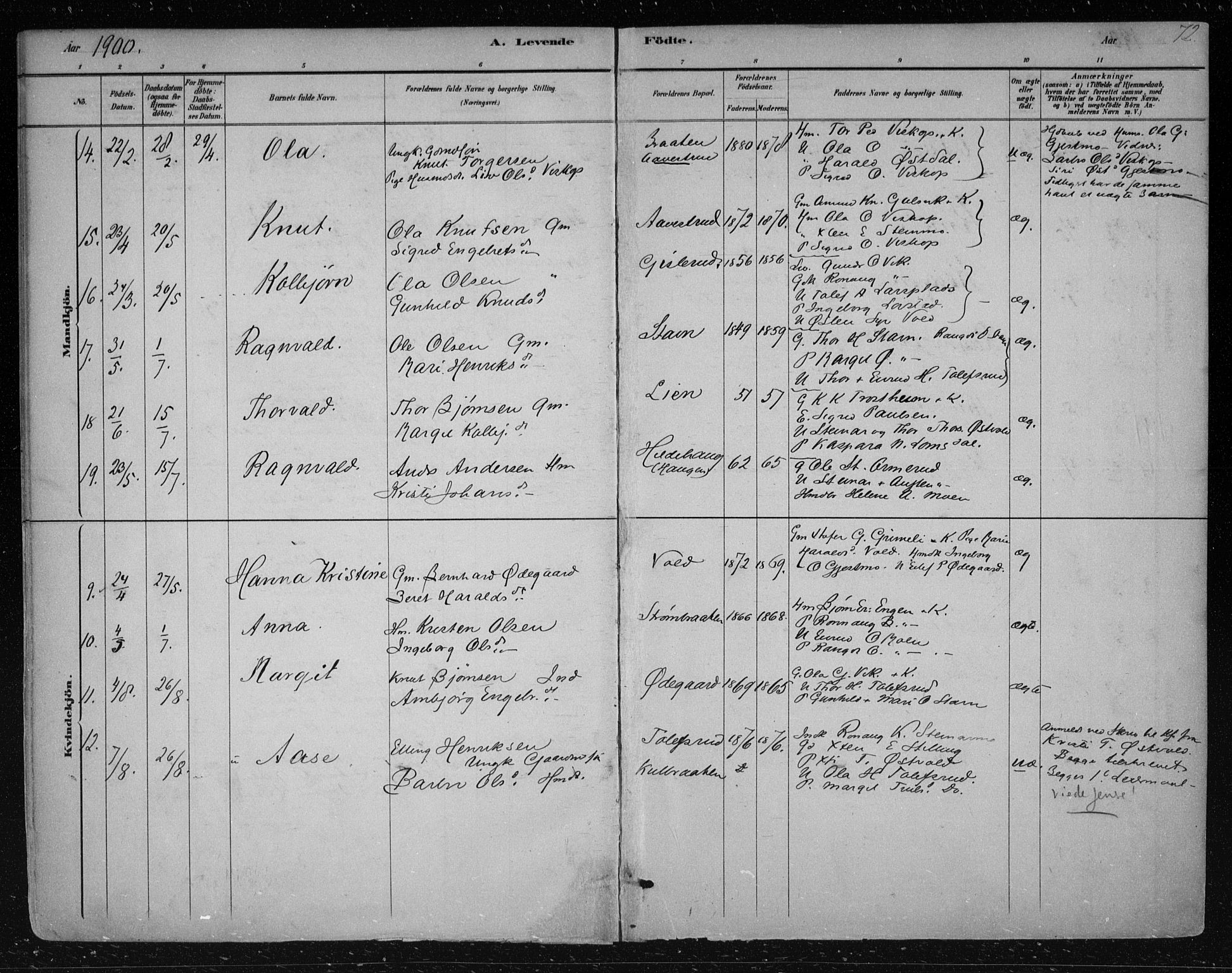 Nes kirkebøker, AV/SAKO-A-236/F/Fa/L0012: Parish register (official) no. 12, 1881-1917, p. 72