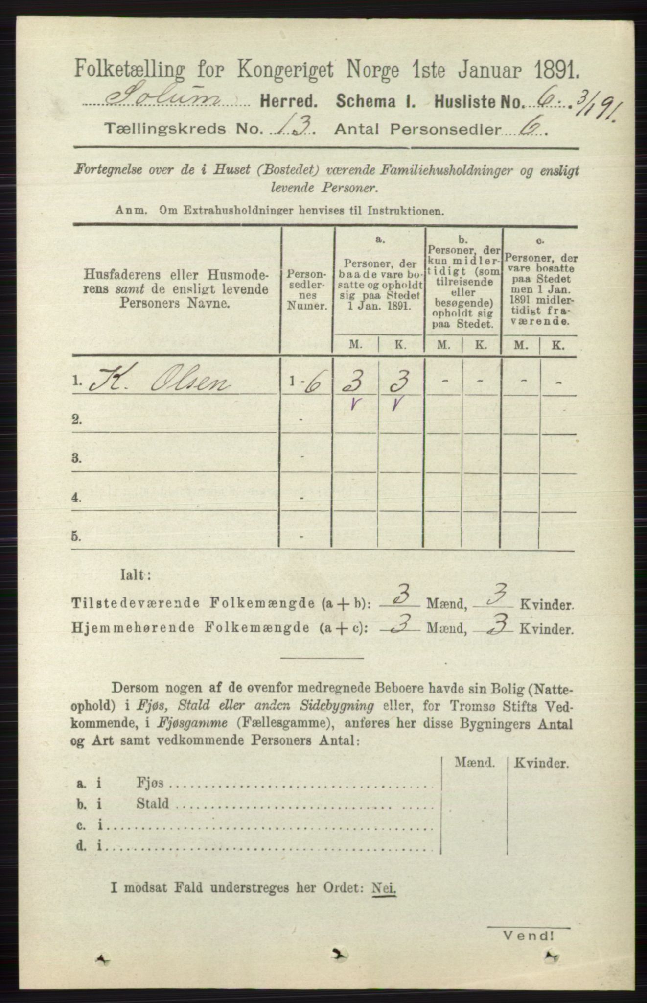 RA, 1891 census for 0818 Solum, 1891, p. 6008