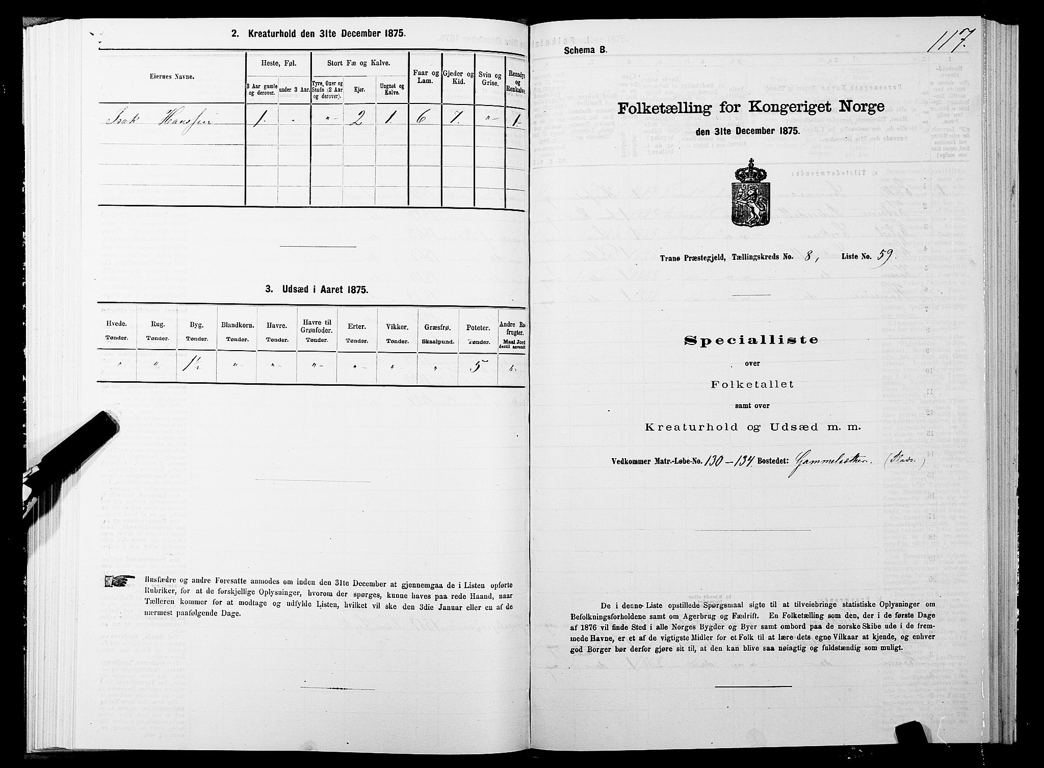 SATØ, 1875 census for 1927P Tranøy, 1875, p. 4117