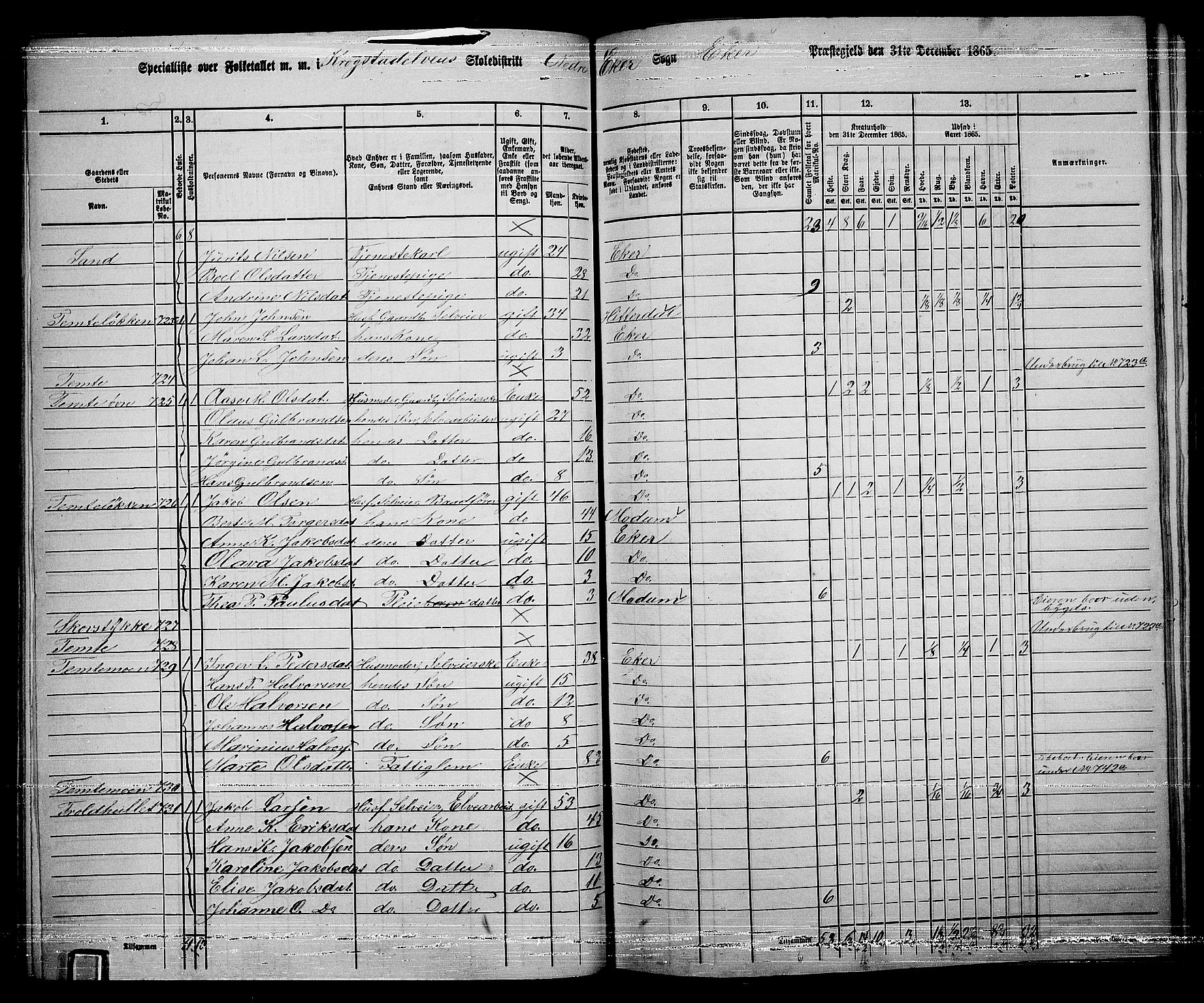 RA, 1865 census for Eiker, 1865, p. 323