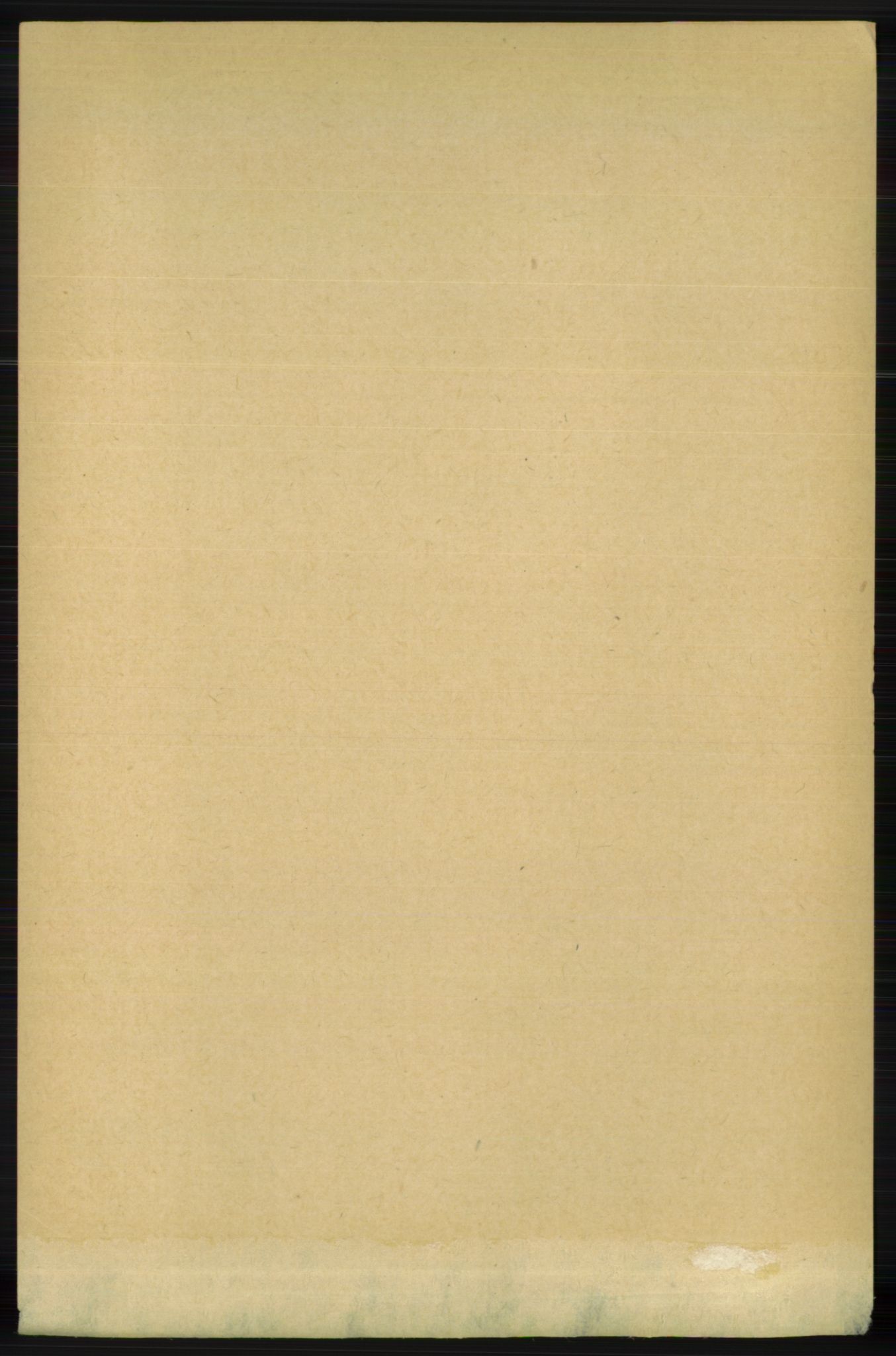 RA, 1891 census for 1129 Forsand, 1891, p. 1205