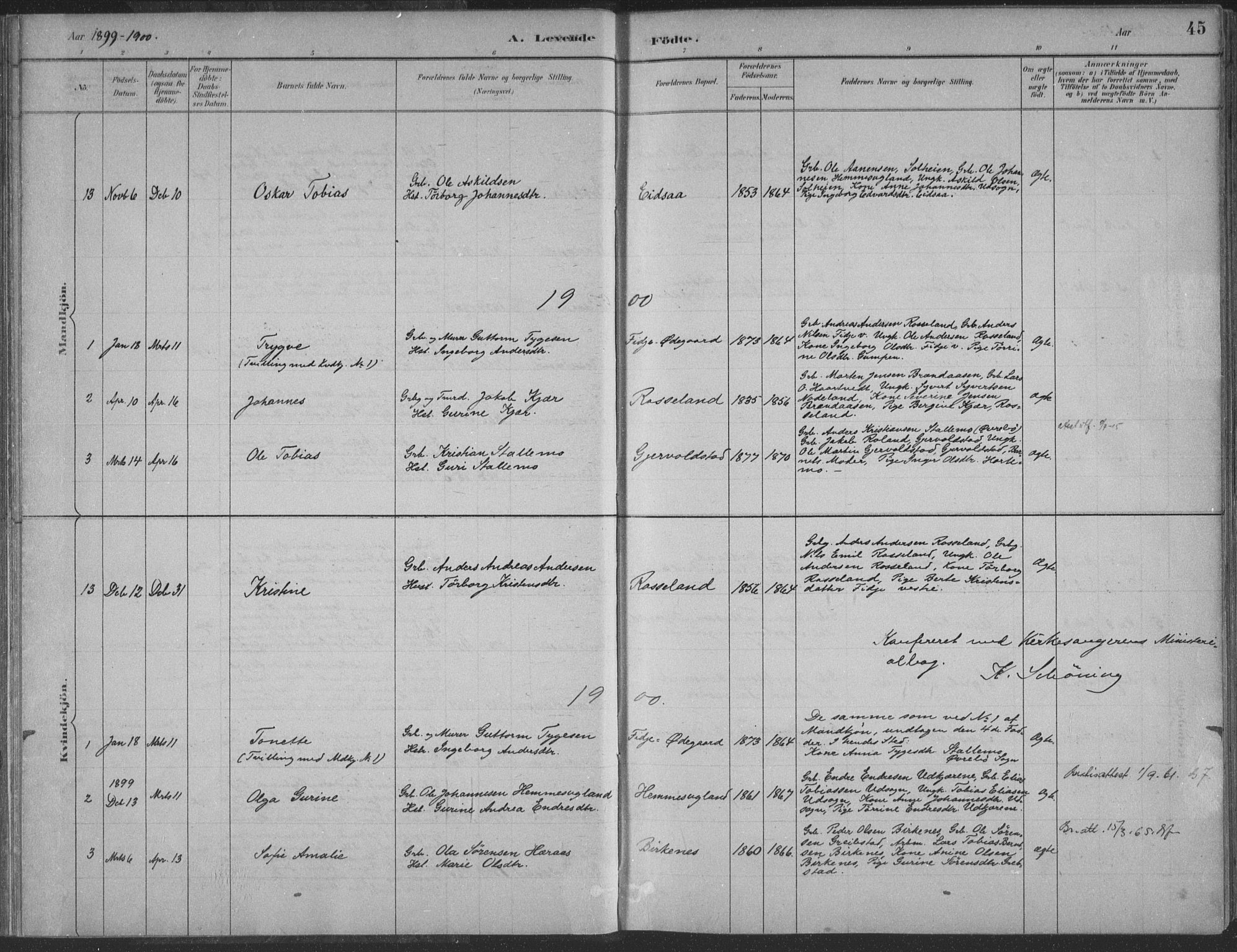 Søgne sokneprestkontor, SAK/1111-0037/F/Fa/Faa/L0003: Parish register (official) no. A 3, 1883-1910, p. 45