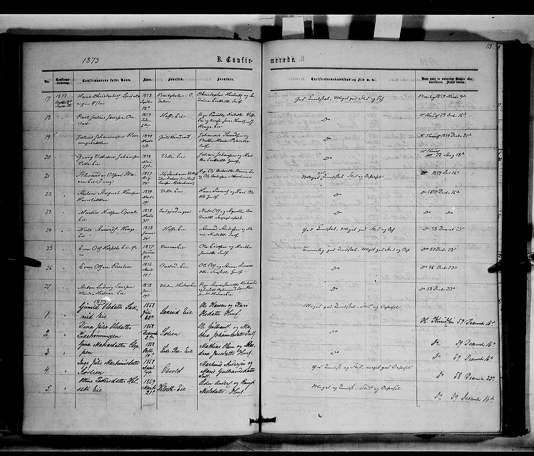 Stange prestekontor, SAH/PREST-002/K/L0014: Parish register (official) no. 14, 1862-1879, p. 115