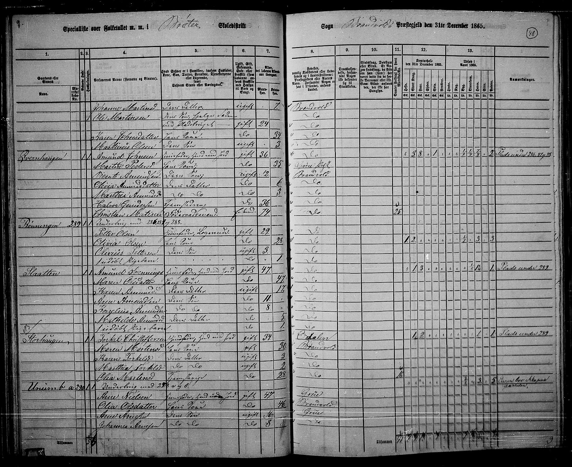 RA, 1865 census for Brandval, 1865, p. 45