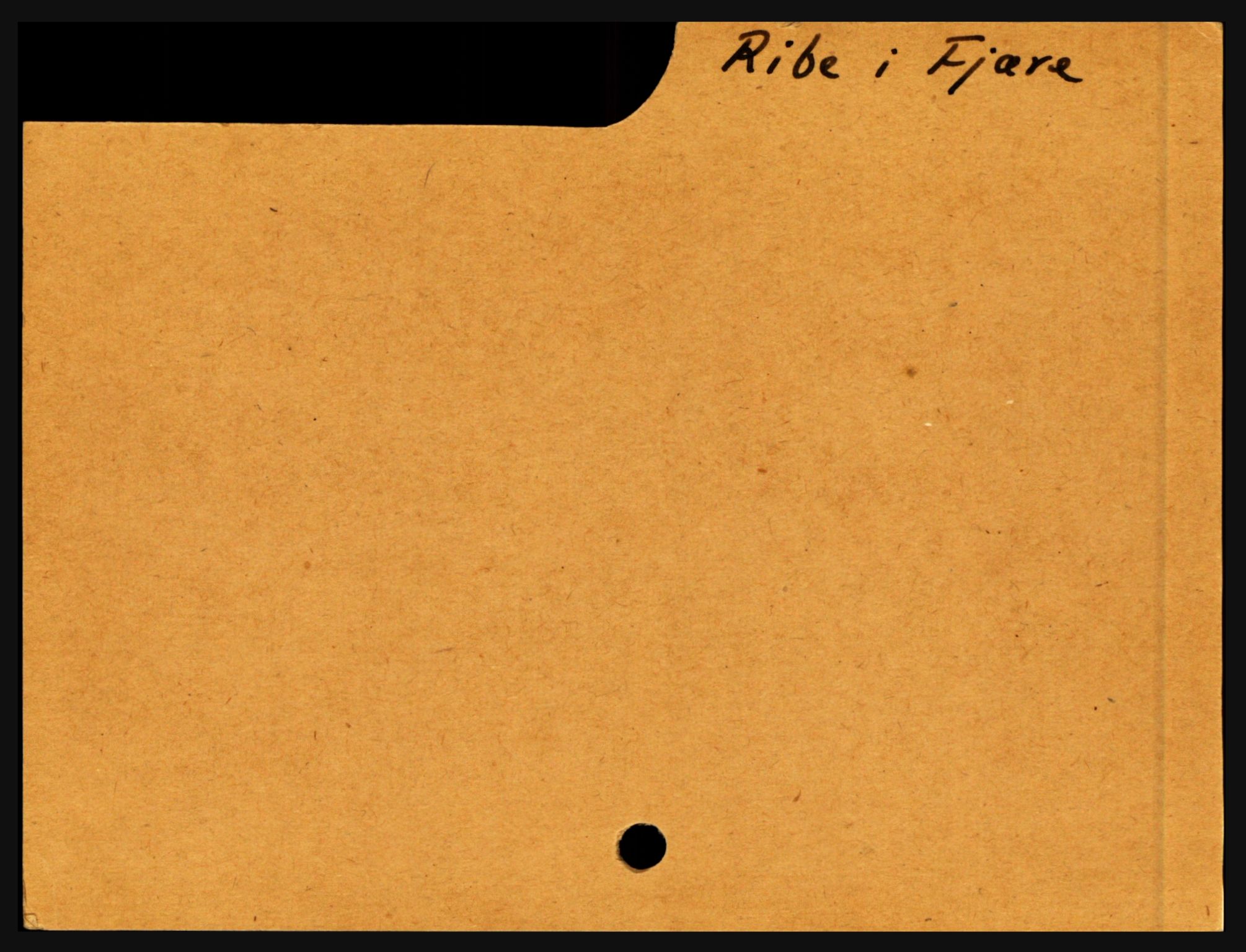 Nedenes sorenskriveri før 1824, SAK/1221-0007/H, p. 23589