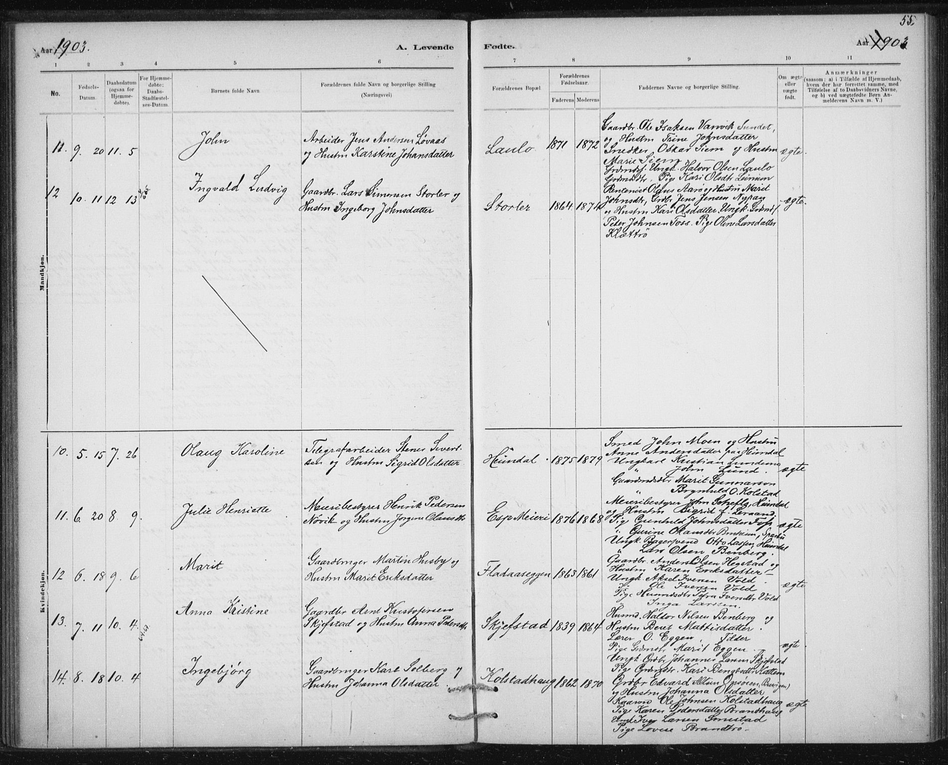 Ministerialprotokoller, klokkerbøker og fødselsregistre - Sør-Trøndelag, SAT/A-1456/613/L0392: Parish register (official) no. 613A01, 1887-1906, p. 55