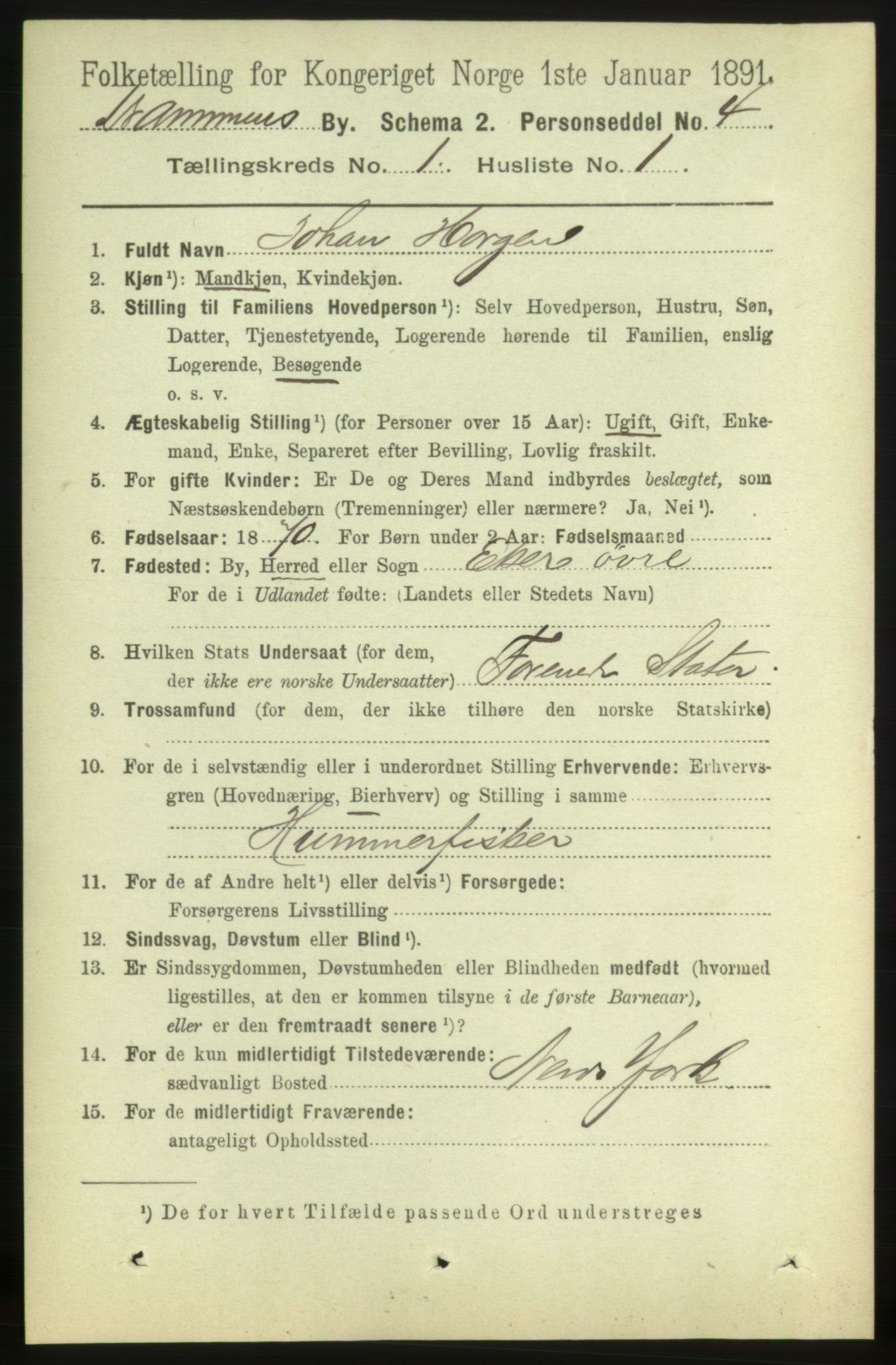 RA, 1891 census for 0602 Drammen, 1891, p. 3897