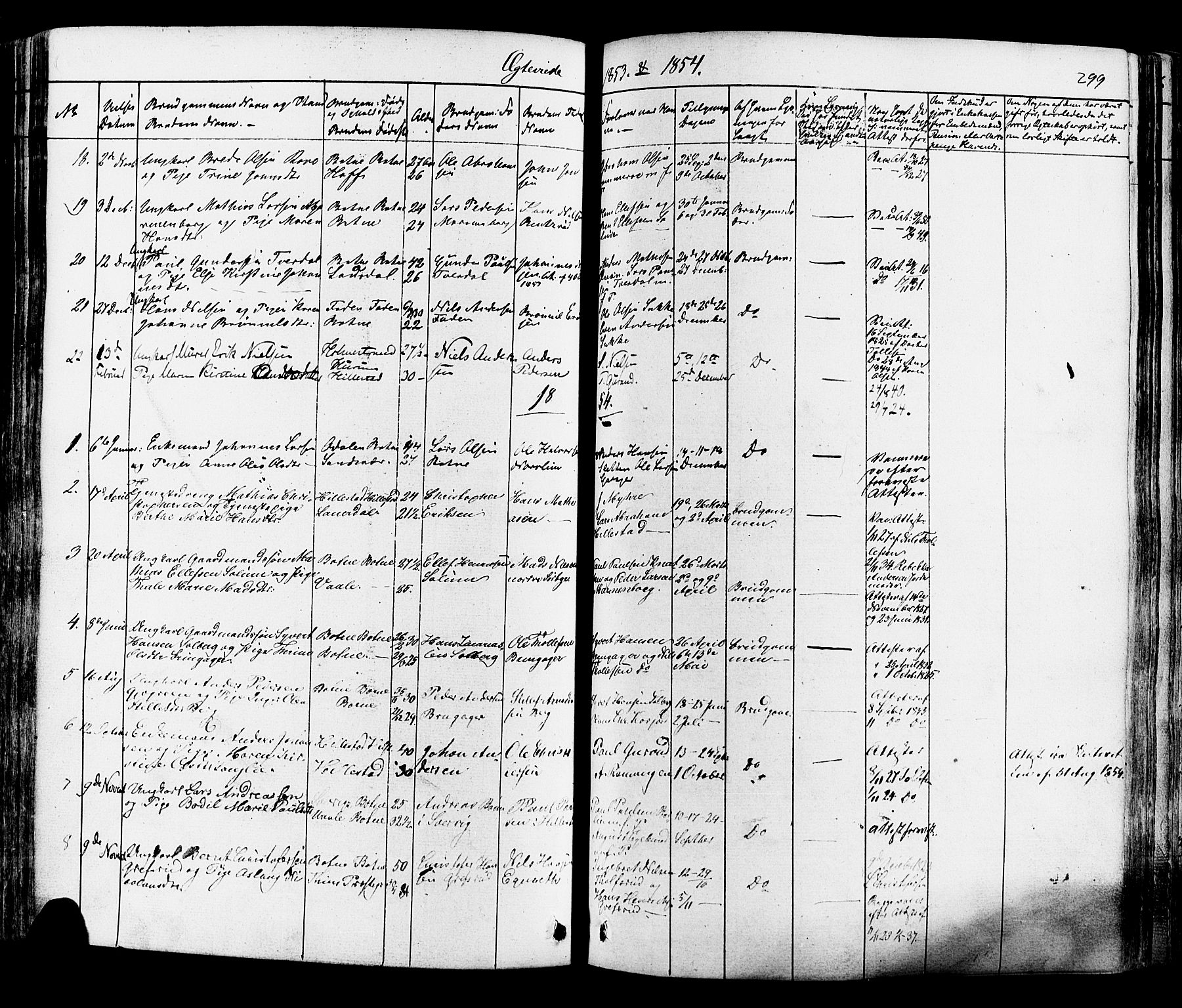 Botne kirkebøker, AV/SAKO-A-340/F/Fa/L0006: Parish register (official) no. I 6, 1836-1877, p. 299