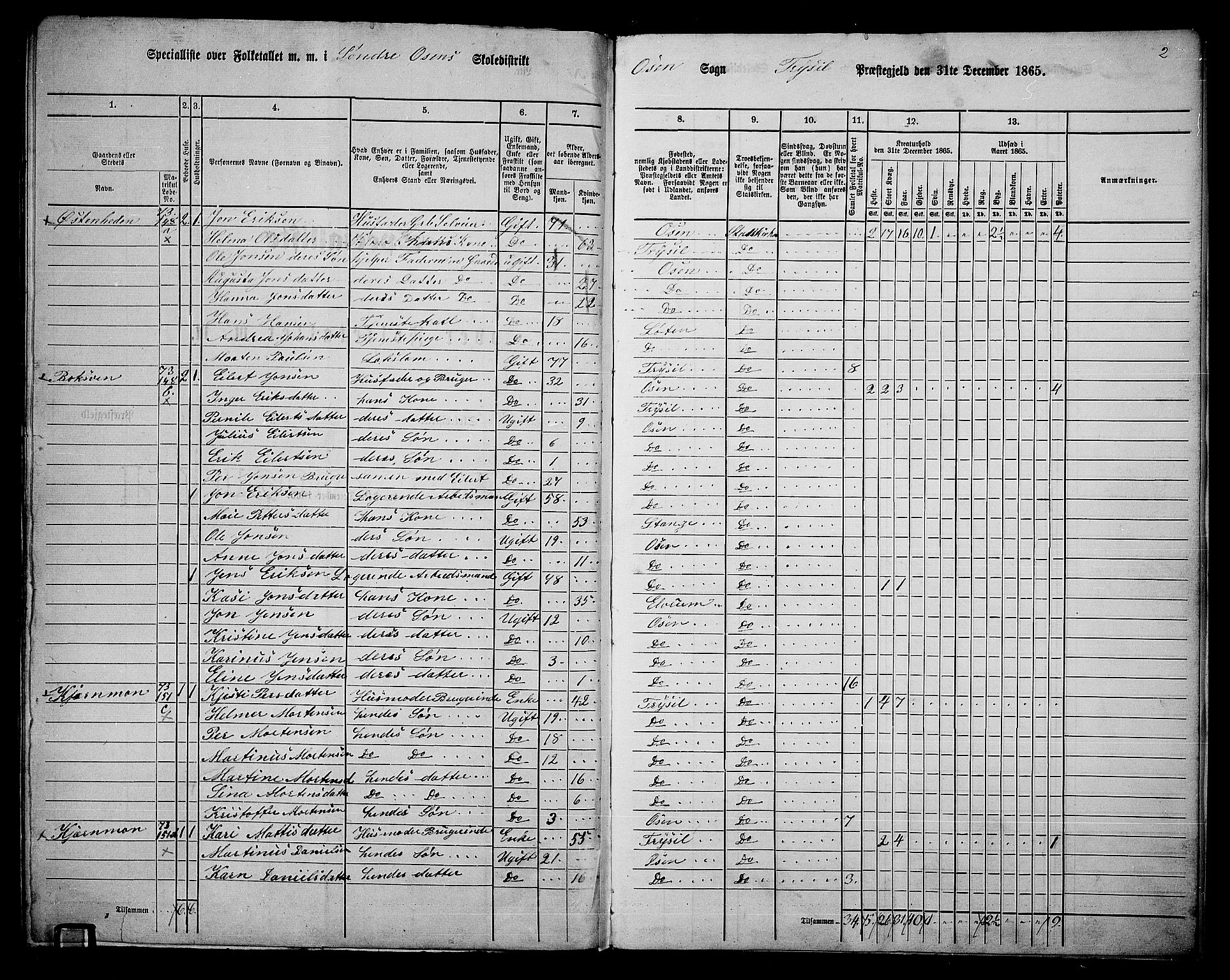 RA, 1865 census for Trysil, 1865, p. 166