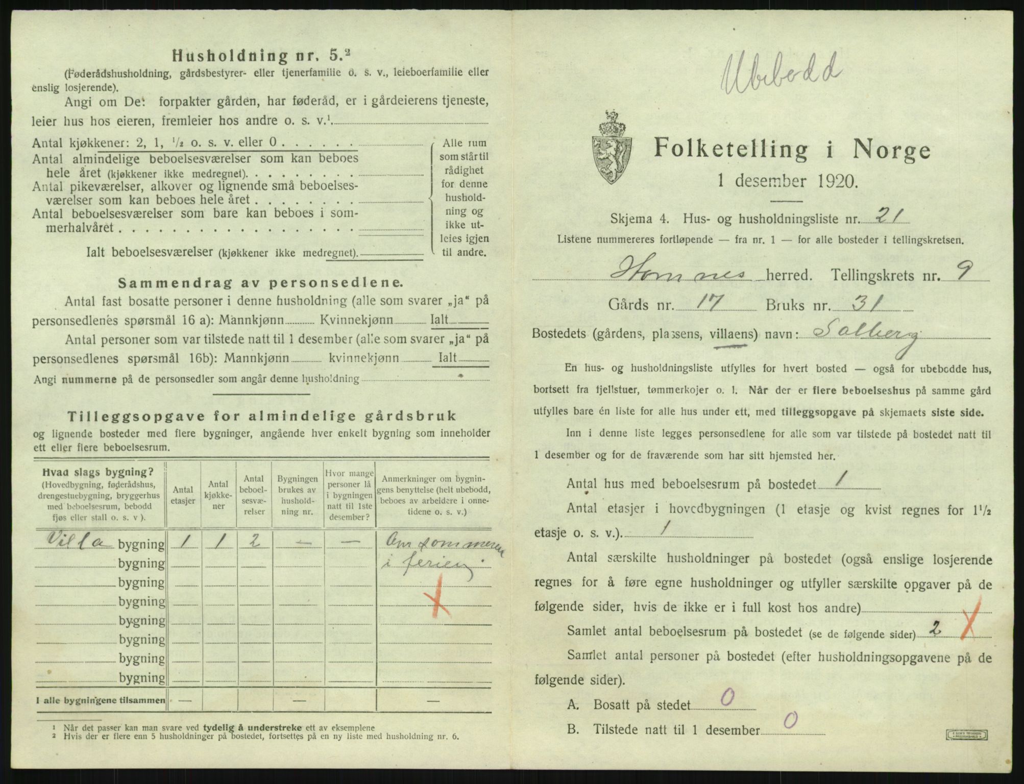 SAK, 1920 census for Hornnes, 1920, p. 391