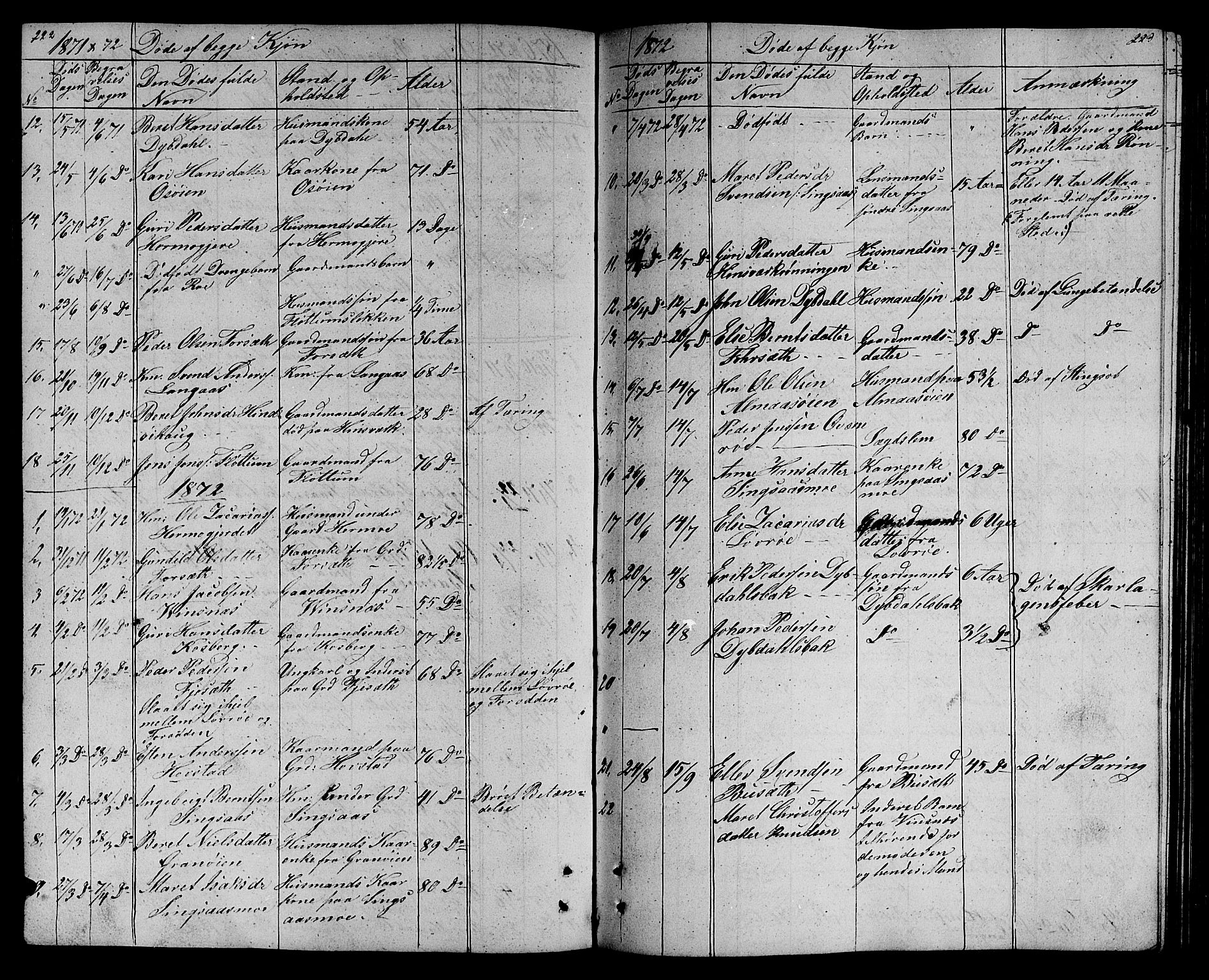 Ministerialprotokoller, klokkerbøker og fødselsregistre - Sør-Trøndelag, AV/SAT-A-1456/688/L1027: Parish register (copy) no. 688C02, 1861-1889, p. 222-223