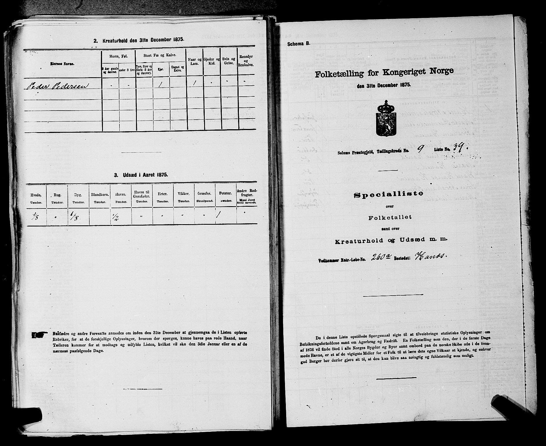 SAKO, 1875 census for 0818P Solum, 1875, p. 1458