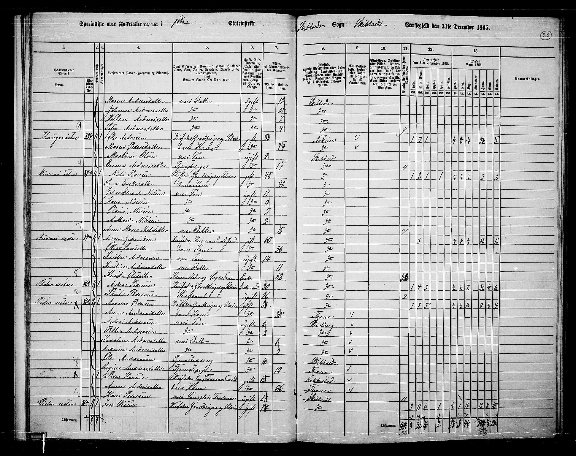 RA, 1865 census for Skiptvet, 1865, p. 19