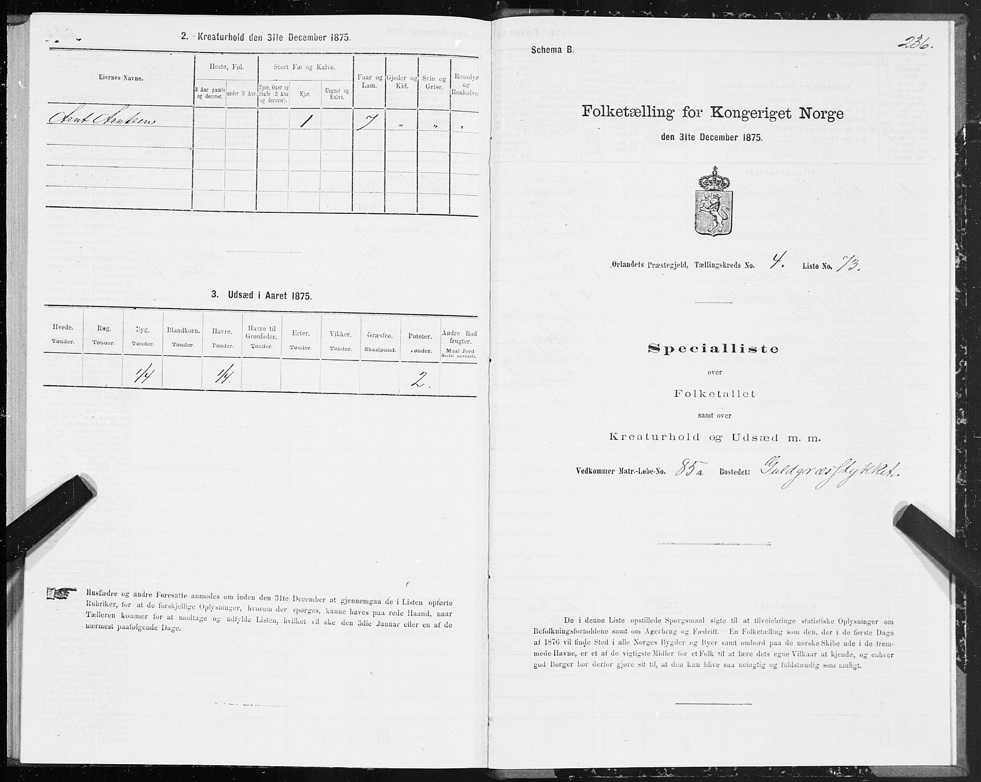 SAT, 1875 census for 1621P Ørland, 1875, p. 2236