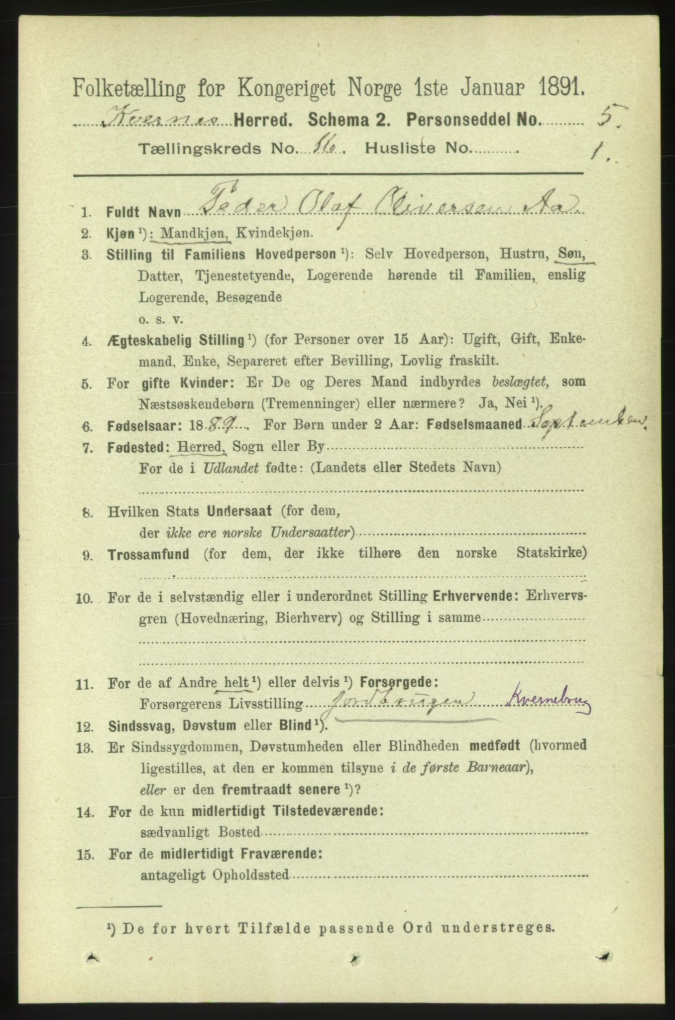 RA, 1891 census for 1553 Kvernes, 1891, p. 6450