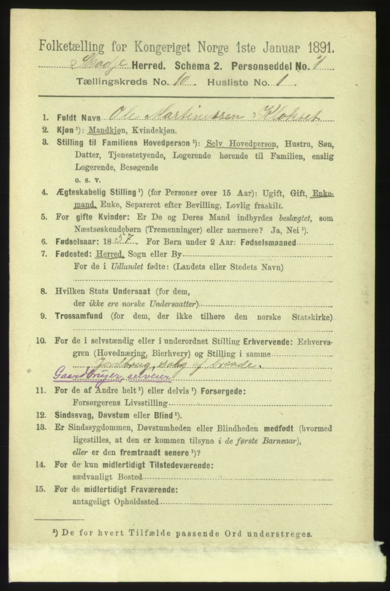 RA, 1891 census for 1529 Skodje, 1891, p. 2007