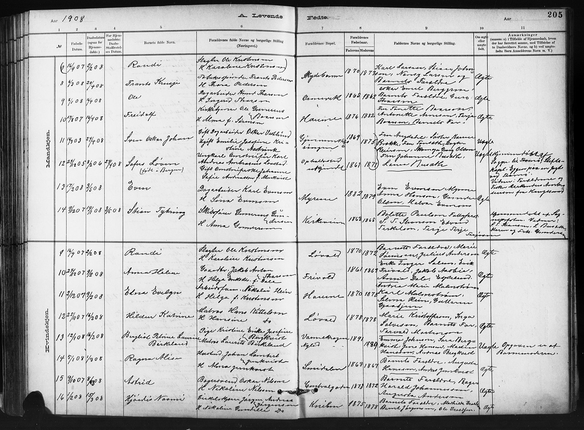 Barbu sokneprestkontor, AV/SAK-1111-0003/F/Fb/L0002: Parish register (copy) no. B 2, 1890-1922, p. 205