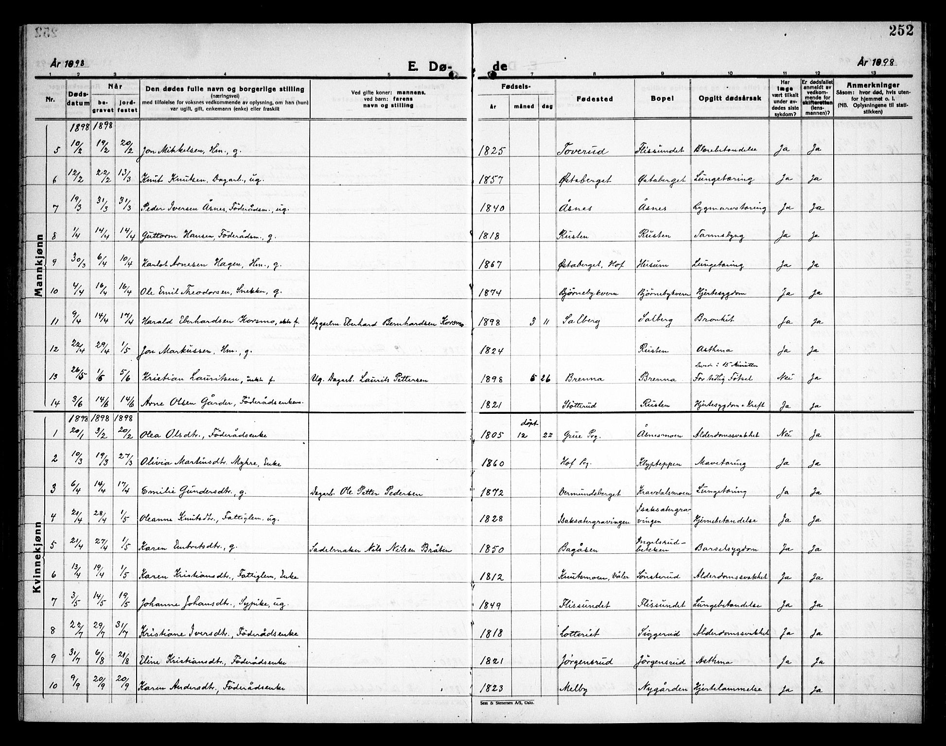 Åsnes prestekontor, AV/SAH-PREST-042/H/Ha/Haa/L0000C: Parish register (official) no. 0A, 1890-1929, p. 252