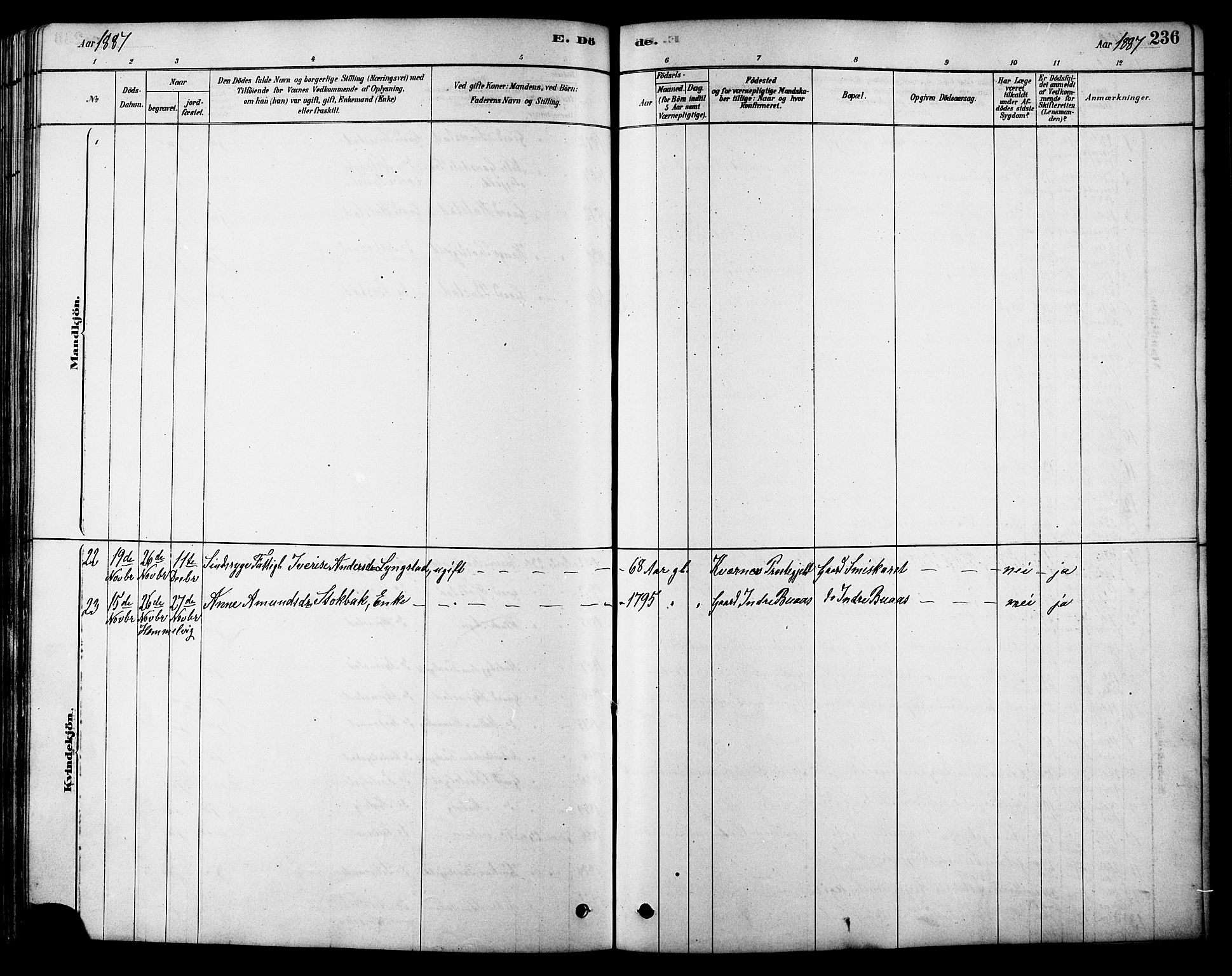 Ministerialprotokoller, klokkerbøker og fødselsregistre - Sør-Trøndelag, SAT/A-1456/616/L0423: Parish register (copy) no. 616C06, 1878-1903, p. 236