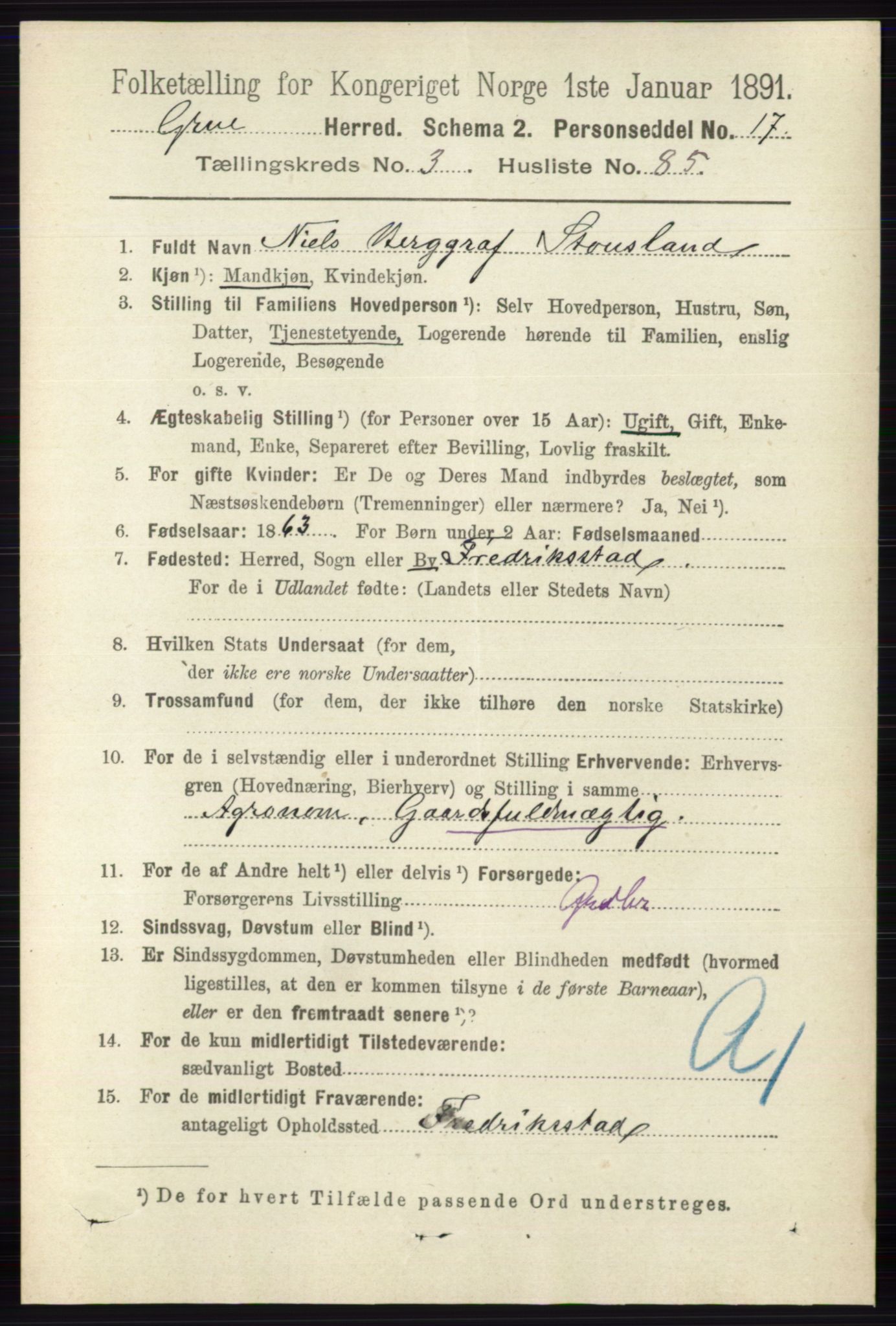 RA, 1891 census for 0423 Grue, 1891, p. 2008