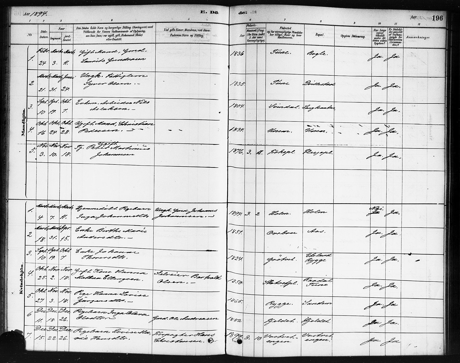 Våler prestekontor Kirkebøker, AV/SAO-A-11083/F/Fb/L0001: Parish register (official) no. II 1, 1878-1896, p. 196