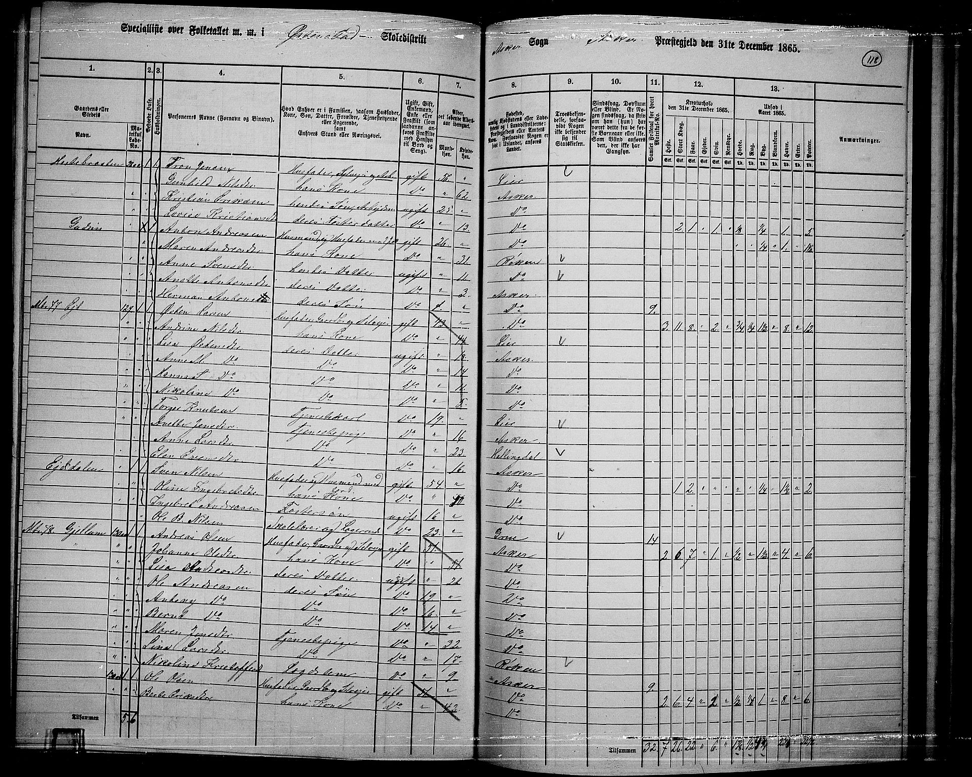 RA, 1865 census for Asker, 1865, p. 114