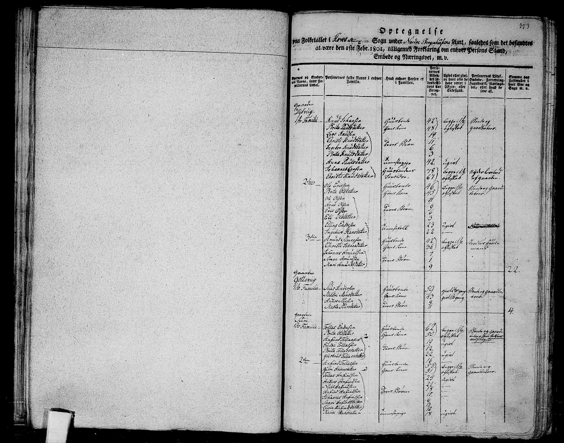 RA, 1801 census for 1417P Vik, 1801, p. 222b-223a
