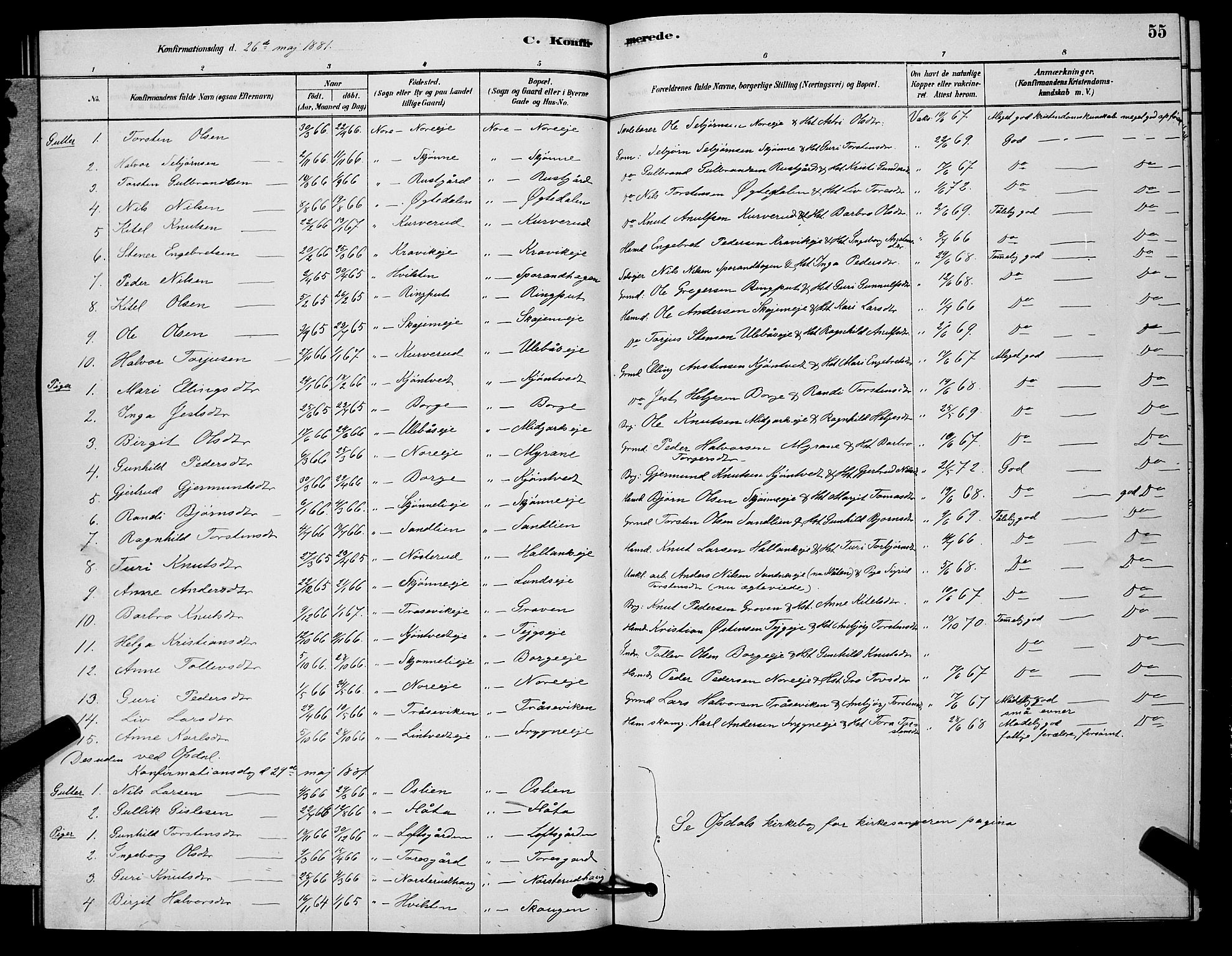 Nore kirkebøker, SAKO/A-238/G/Ga/L0002: Parish register (copy) no. I 2, 1878-1885, p. 55
