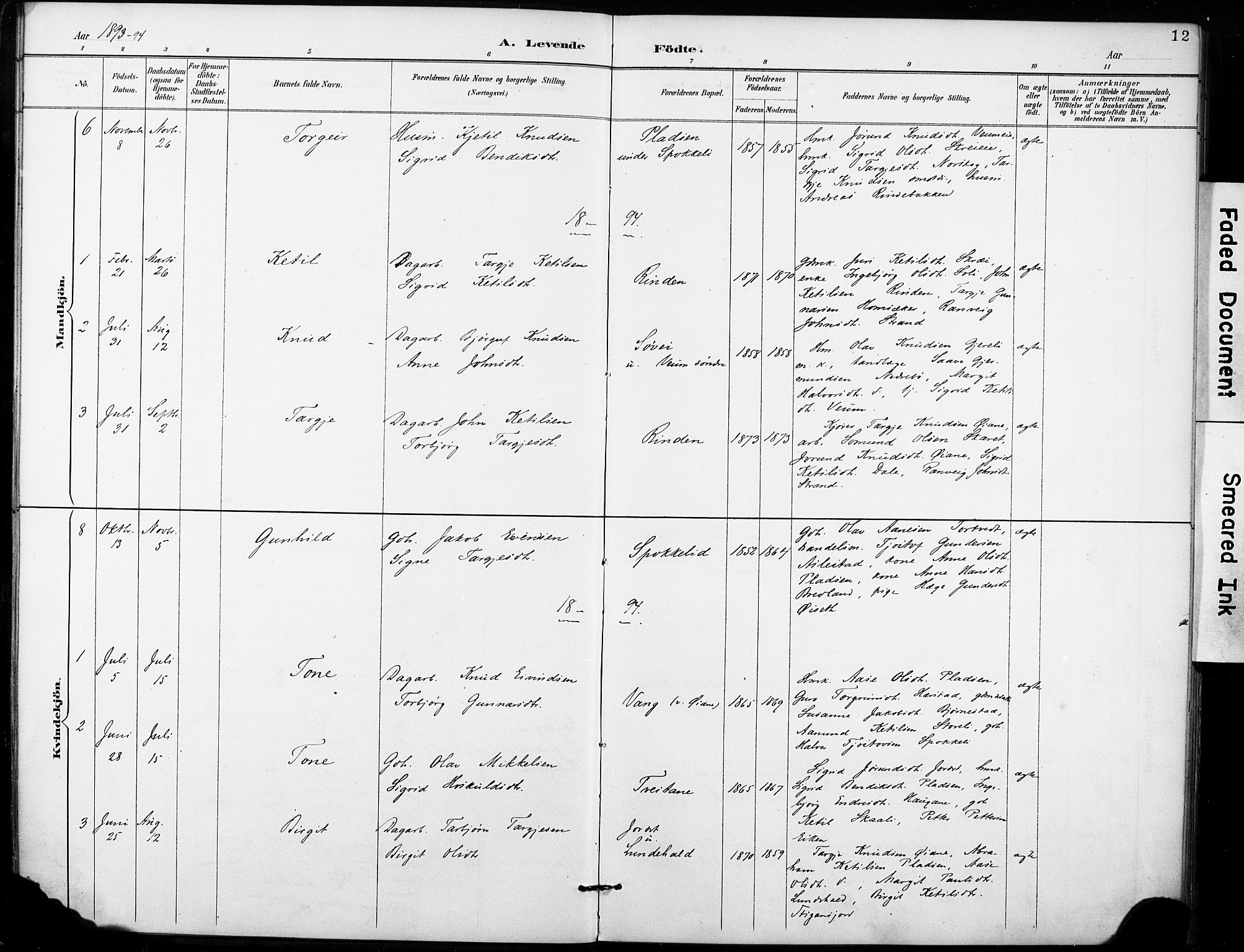 Fyresdal kirkebøker, SAKO/A-263/F/Fb/L0003: Parish register (official) no. II 3, 1887-1903, p. 12