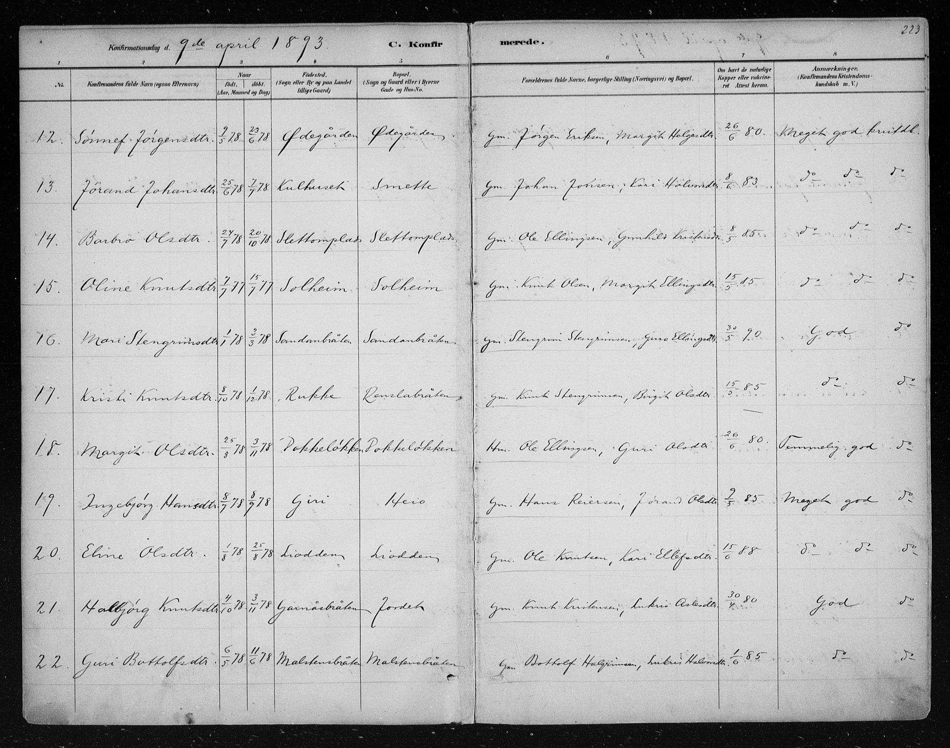 Nes kirkebøker, AV/SAKO-A-236/F/Fa/L0011: Parish register (official) no. 11, 1881-1912, p. 223