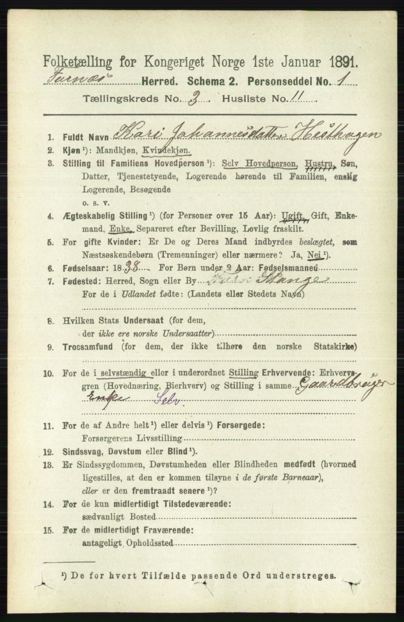 RA, Census 1891 for 0413 Furnes herred, 1891, p. 1691