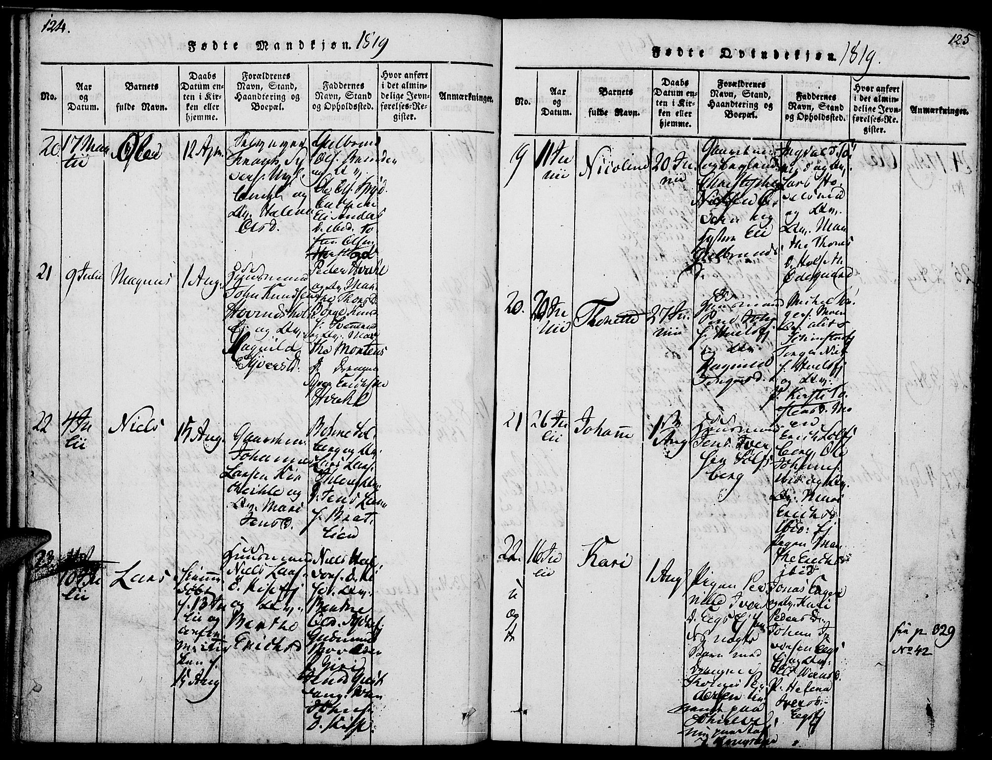 Nes prestekontor, Hedmark, AV/SAH-PREST-020/K/Ka/L0002: Parish register (official) no. 2, 1813-1827, p. 124-125