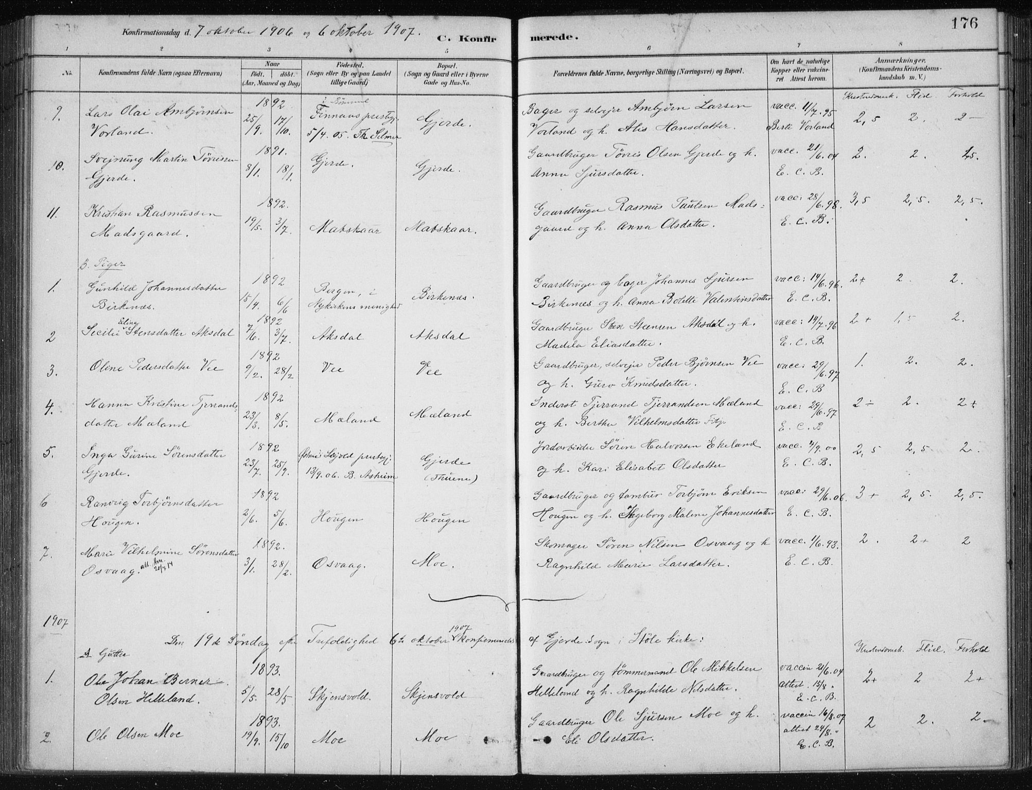 Etne sokneprestembete, SAB/A-75001/H/Haa: Parish register (official) no. C  1, 1879-1919, p. 176