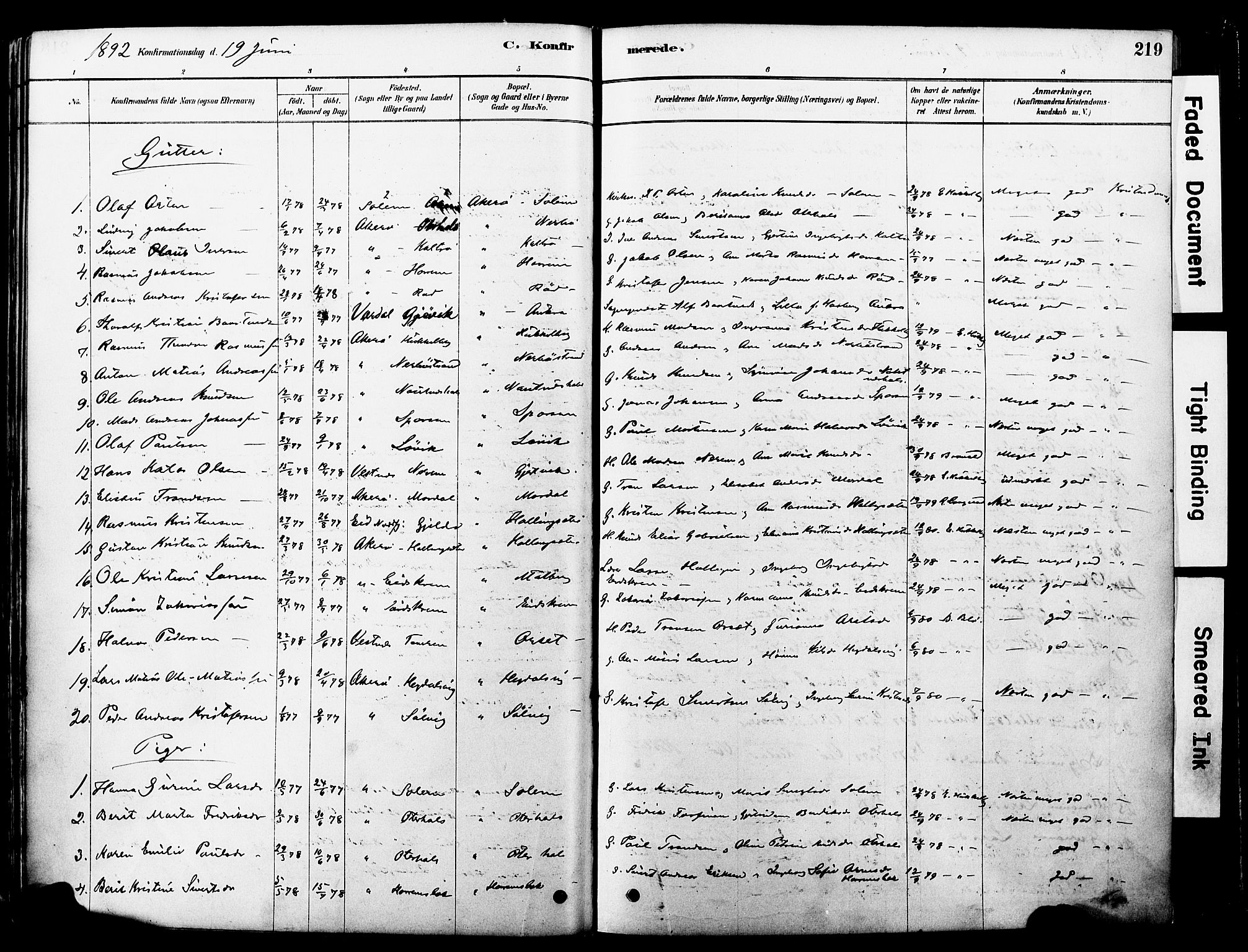 Ministerialprotokoller, klokkerbøker og fødselsregistre - Møre og Romsdal, SAT/A-1454/560/L0721: Parish register (official) no. 560A05, 1878-1917, p. 219