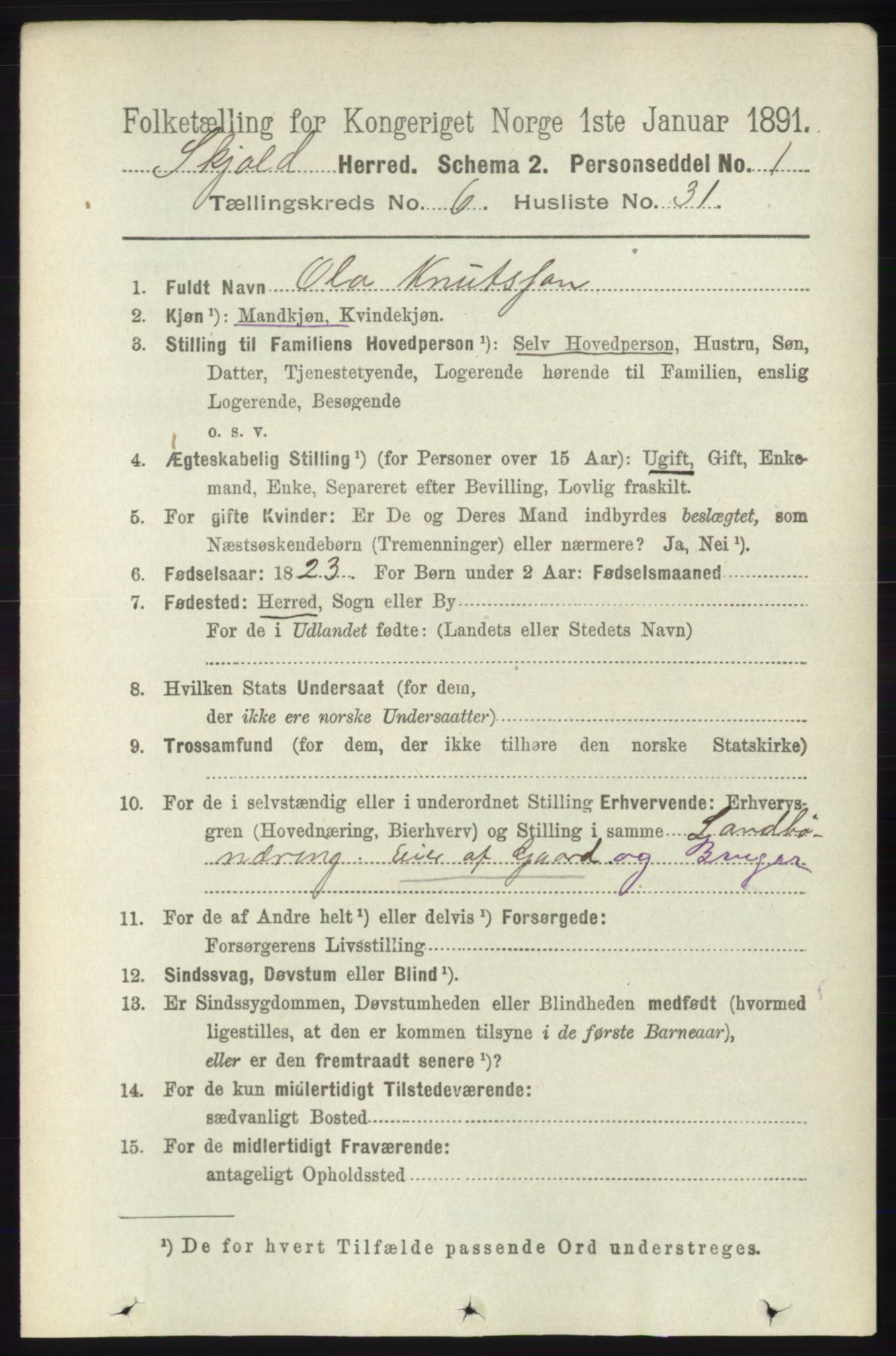 RA, 1891 census for 1154 Skjold, 1891, p. 1169