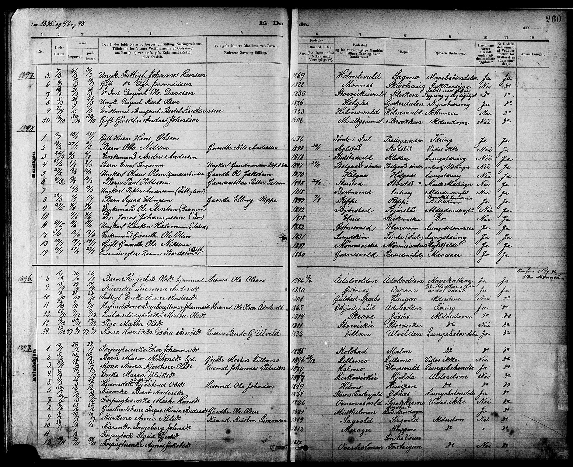 Ministerialprotokoller, klokkerbøker og fødselsregistre - Nord-Trøndelag, SAT/A-1458/724/L0267: Parish register (copy) no. 724C03, 1879-1898, p. 260