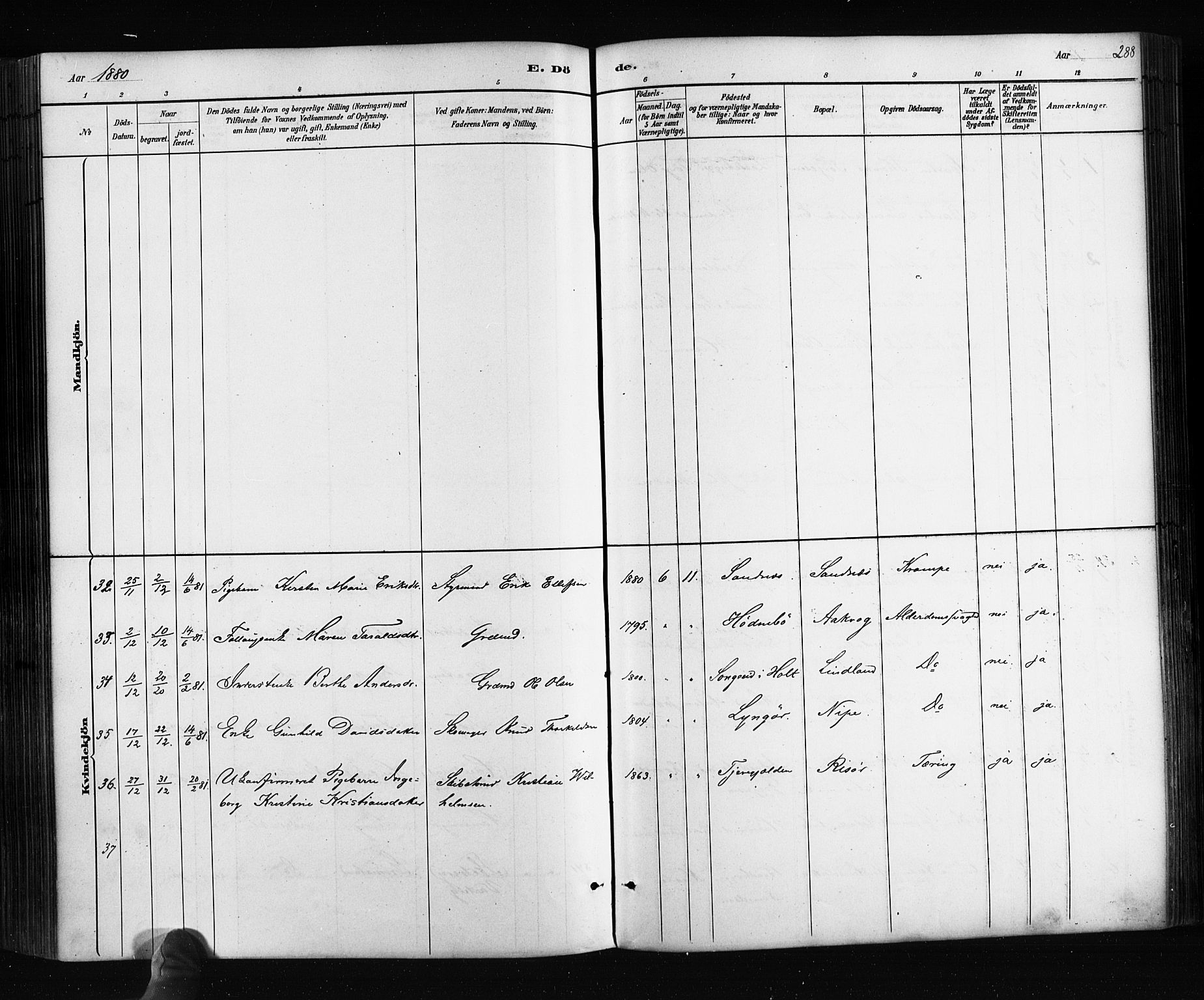 Søndeled sokneprestkontor, SAK/1111-0038/F/Fa/L0004: Parish register (official) no. A 4, 1880-1889, p. 288