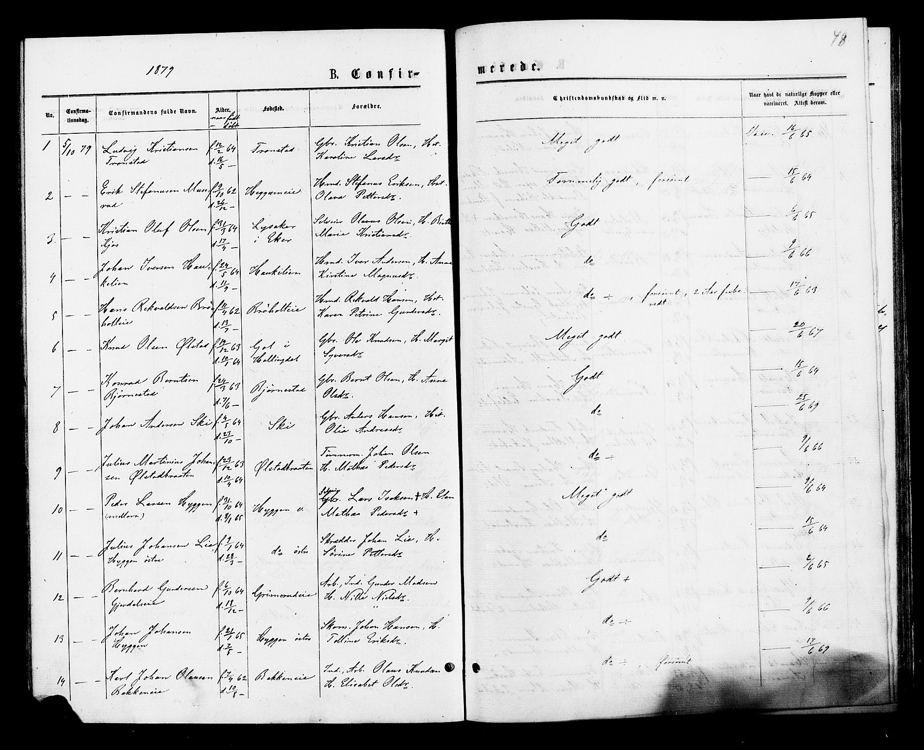 Røyken kirkebøker, AV/SAKO-A-241/F/Fa/L0007: Parish register (official) no. 7, 1876-1879, p. 48