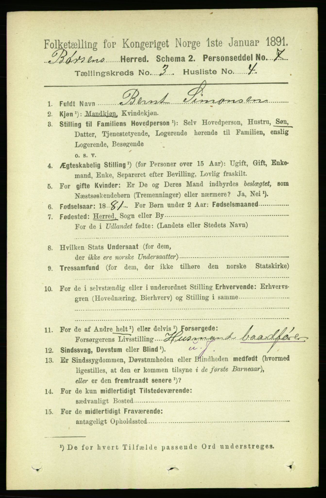 RA, 1891 census for 1658 Børsa, 1891, p. 894