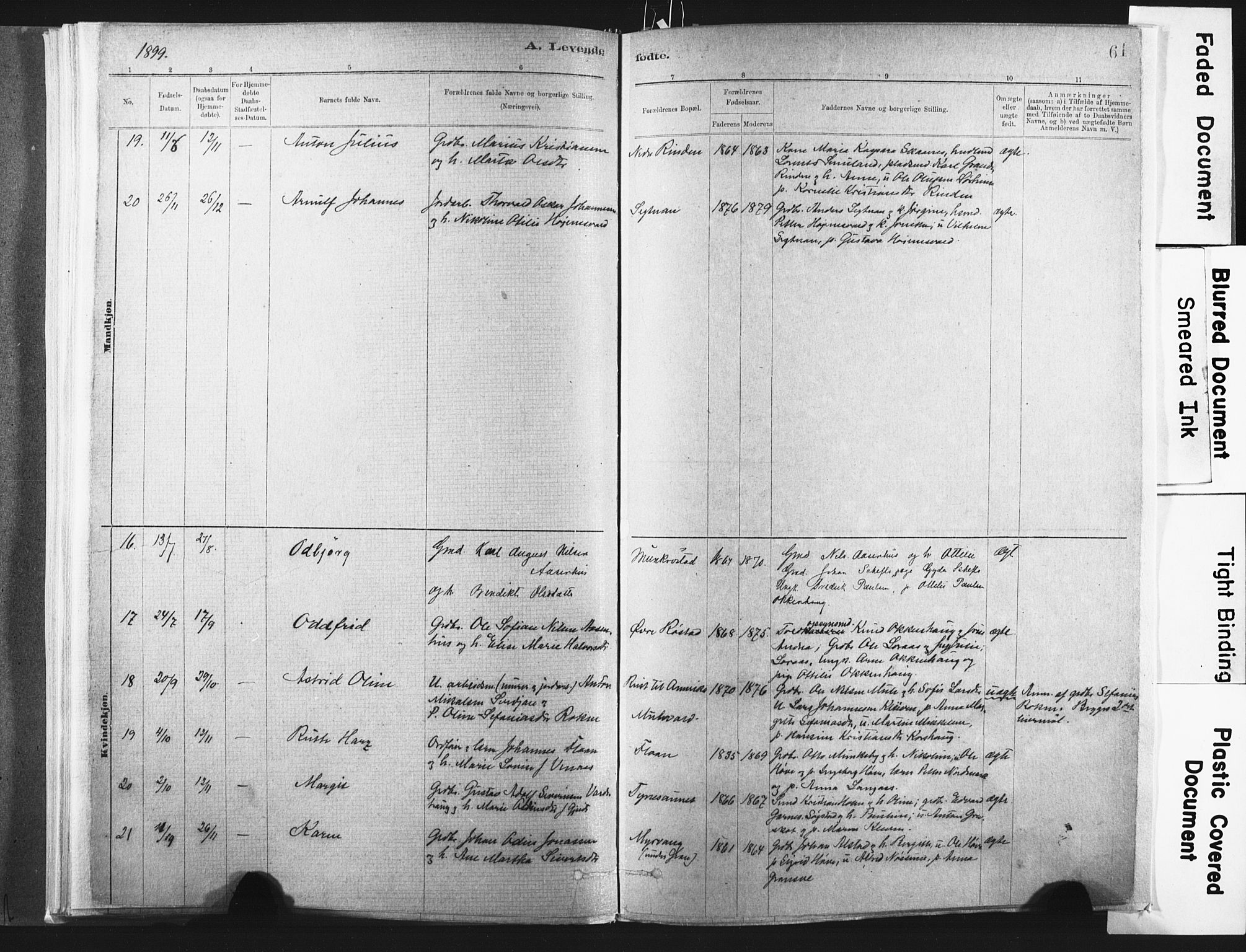 Ministerialprotokoller, klokkerbøker og fødselsregistre - Nord-Trøndelag, SAT/A-1458/721/L0207: Parish register (official) no. 721A02, 1880-1911, p. 61